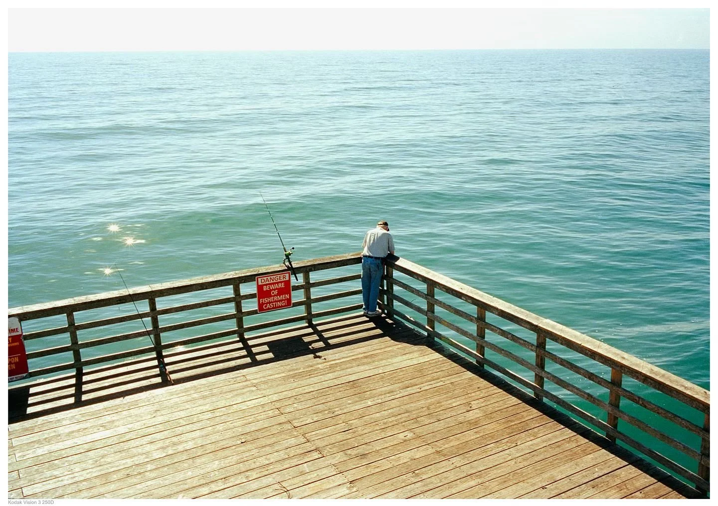 🎞Kodak Vision 3 250D
📷 Leica m7

#filmphoto 
#filmphotography 
#kodakfilm 
#filmisnotdead 
#filmcamera 
#analogphotography 
#filmcommunity 
#ishootfilm
#photography 
#filmfeed 
#filmisalive
#shootfilm 
#believeinfilm 
#filmphotographic 
#voightland