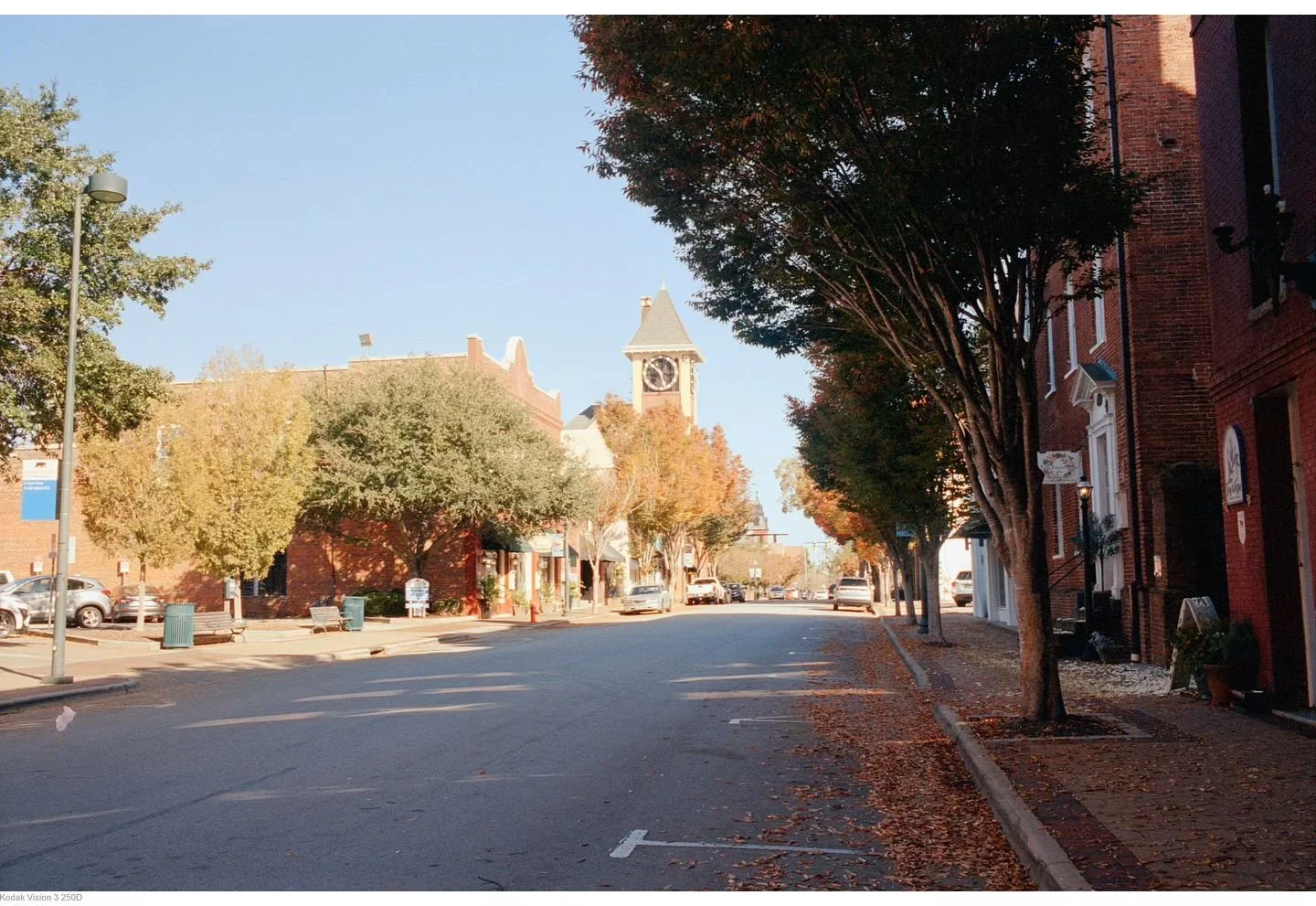 🎞Kodak Vision 3 250D
📷 Leica m7

#filmphoto 
#filmphotography 
#kodakfilm 
#filmisnotdead 
#filmcamera 
#analogphotography 
#filmcommunity 
#ishootfilm
#photography 
#filmfeed 
#filmisalive
#shootfilm 
#believeinfilm 
#filmphotographic 
#voightland