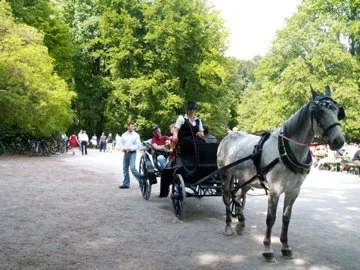 PICT0395.jpg