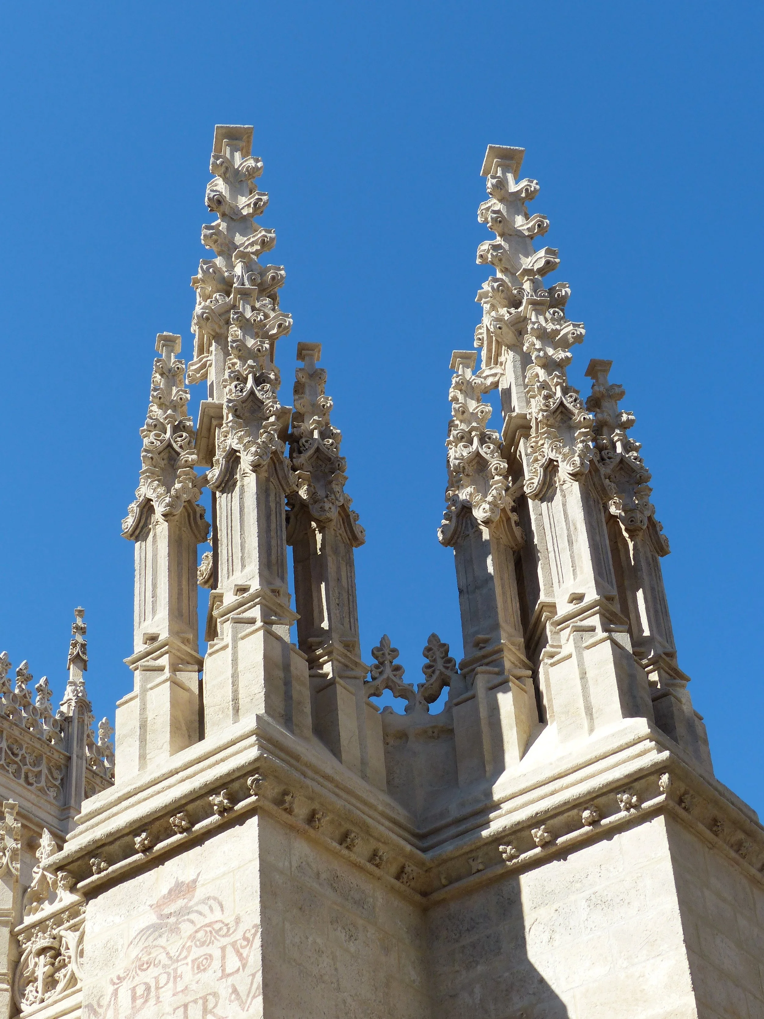 P1060007.JPG