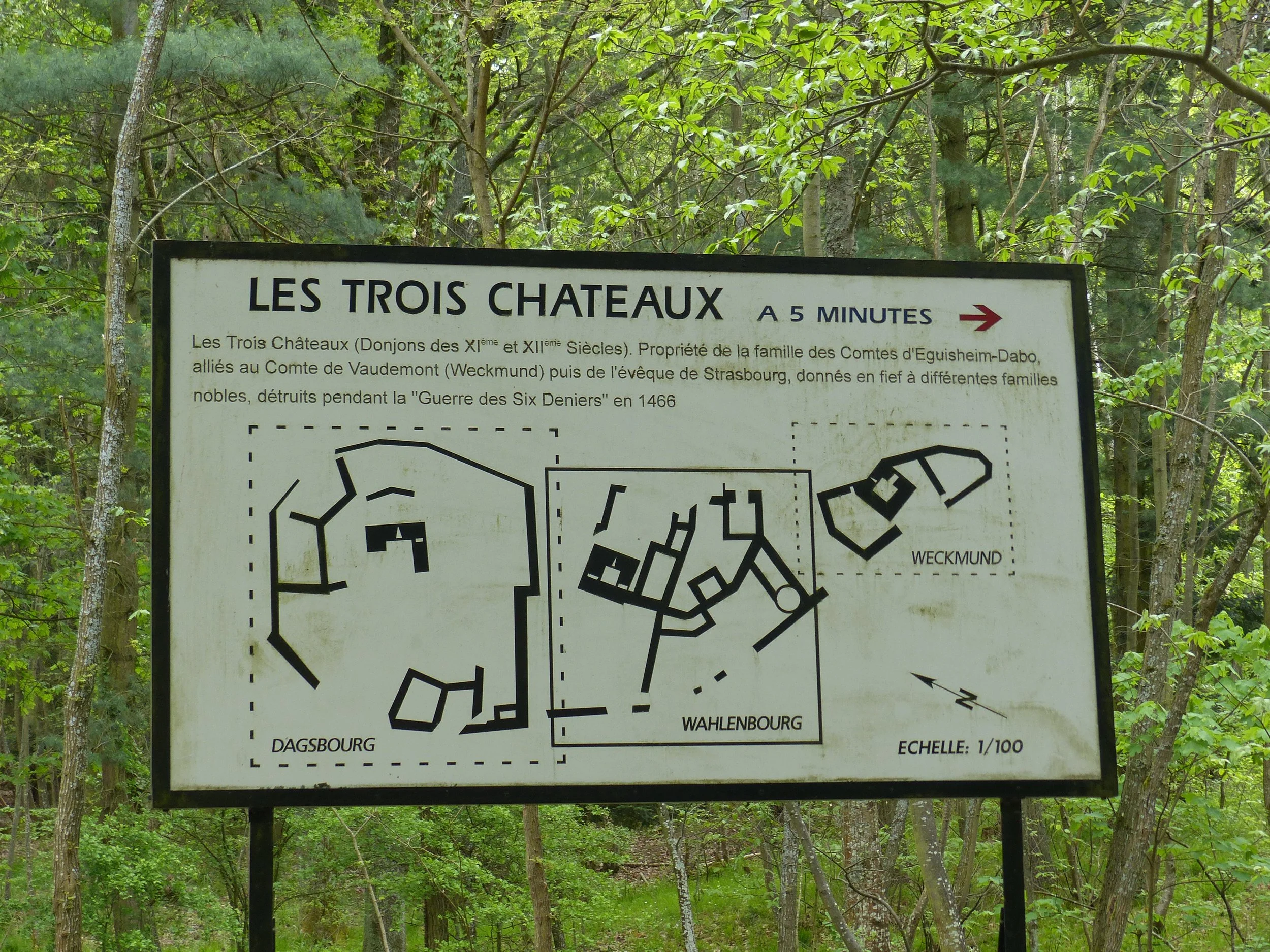 P1100981.jpg
