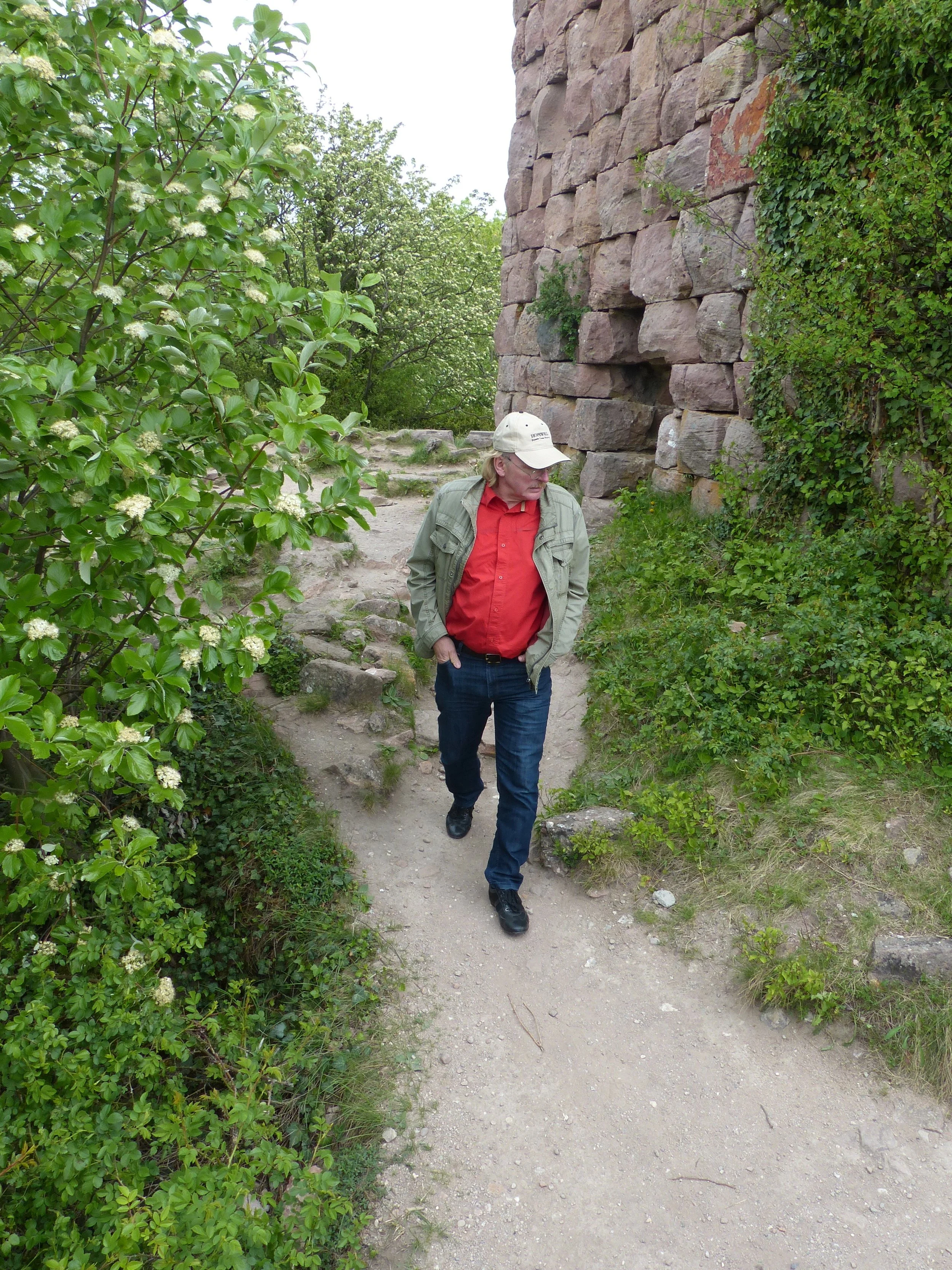 P1100984.jpg