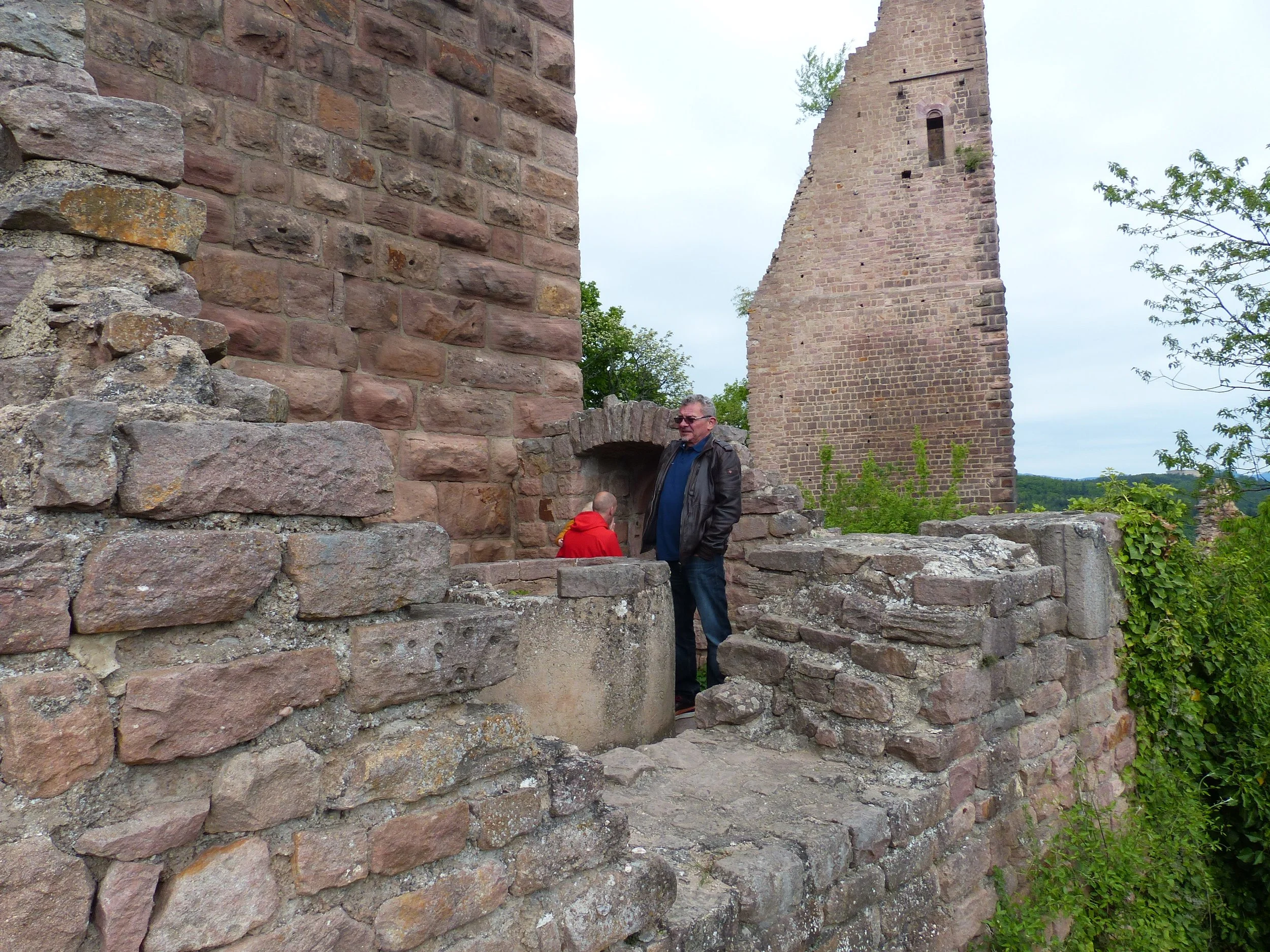 P1100988.jpg