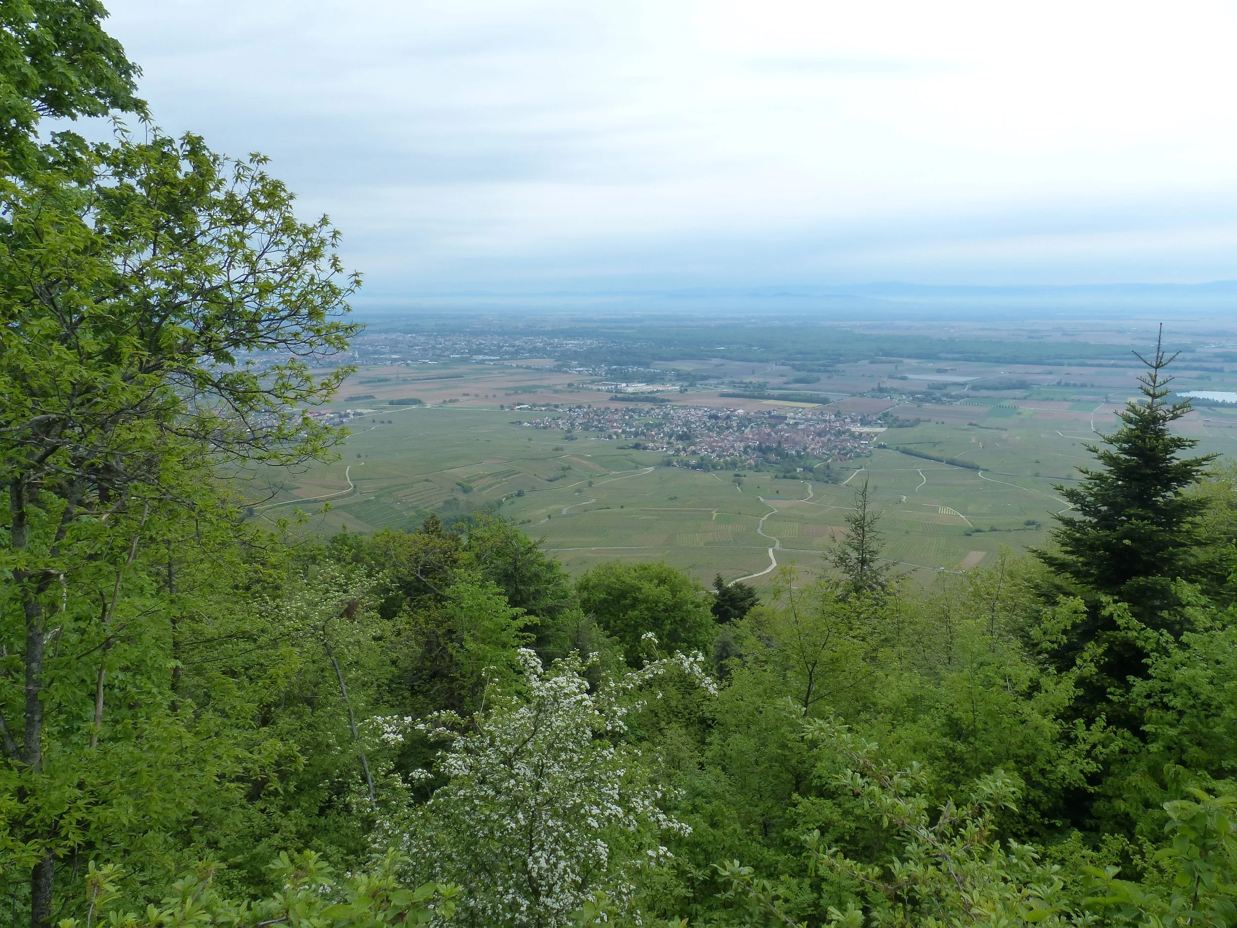 P1100990.jpg