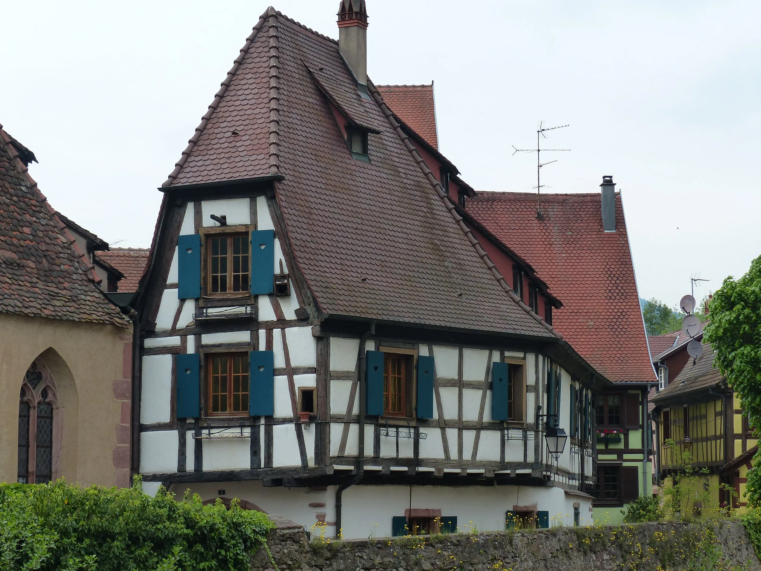 P1110154.jpg