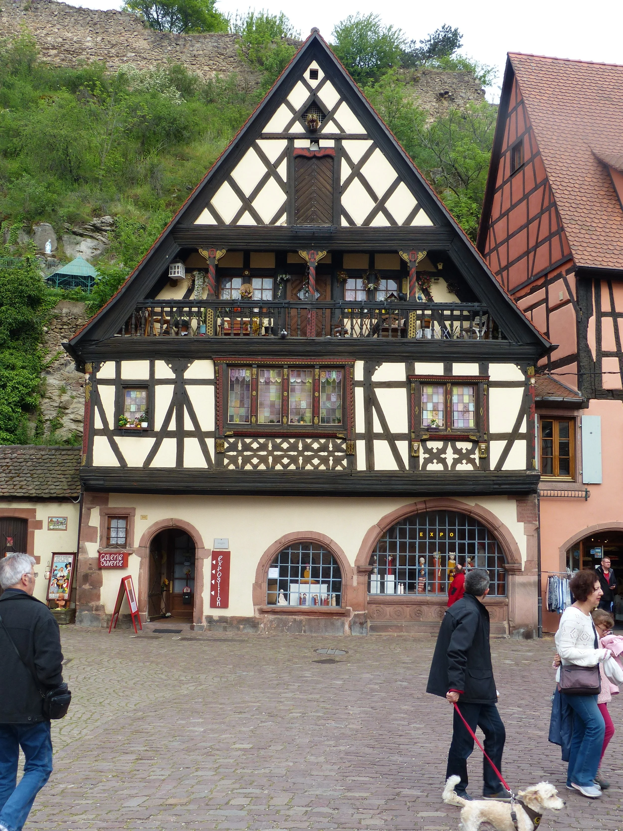 P1110161.jpg