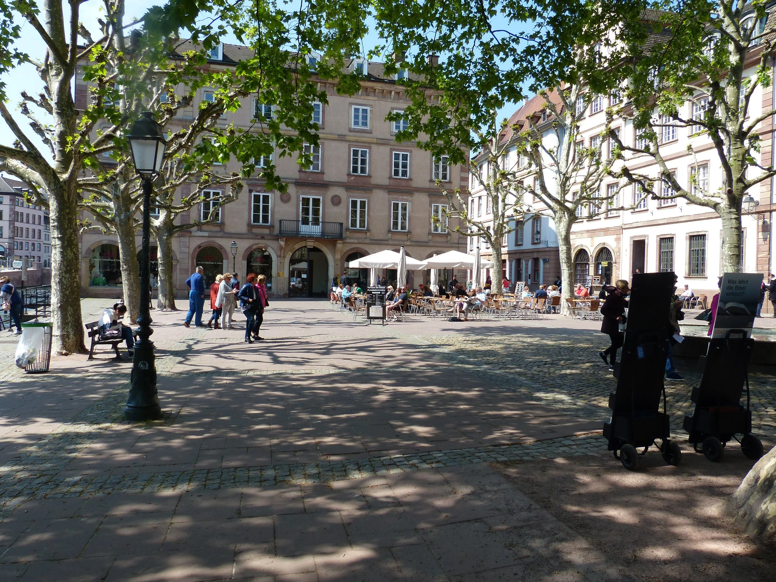 P1110179.jpg