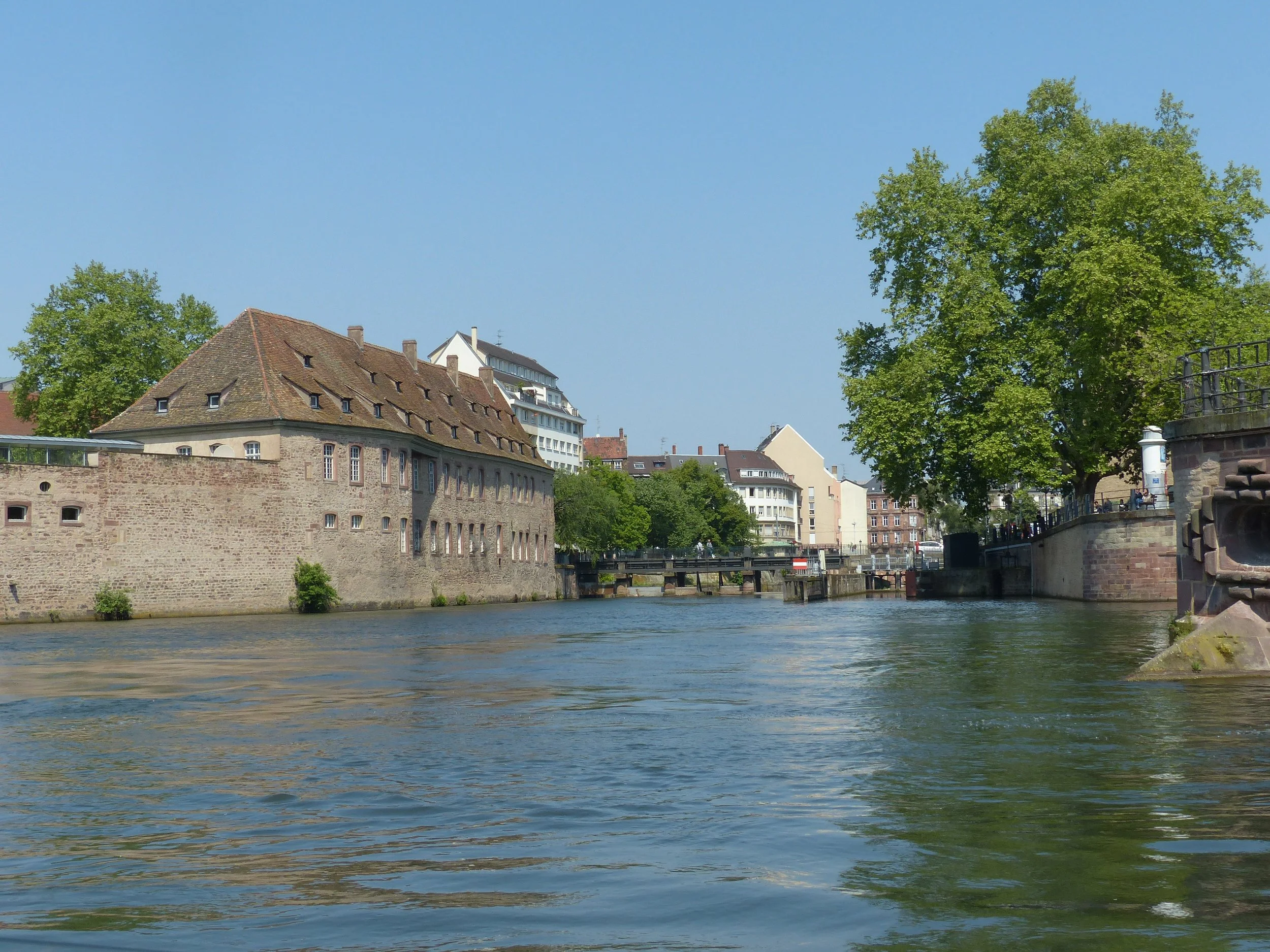 P1110201.jpg