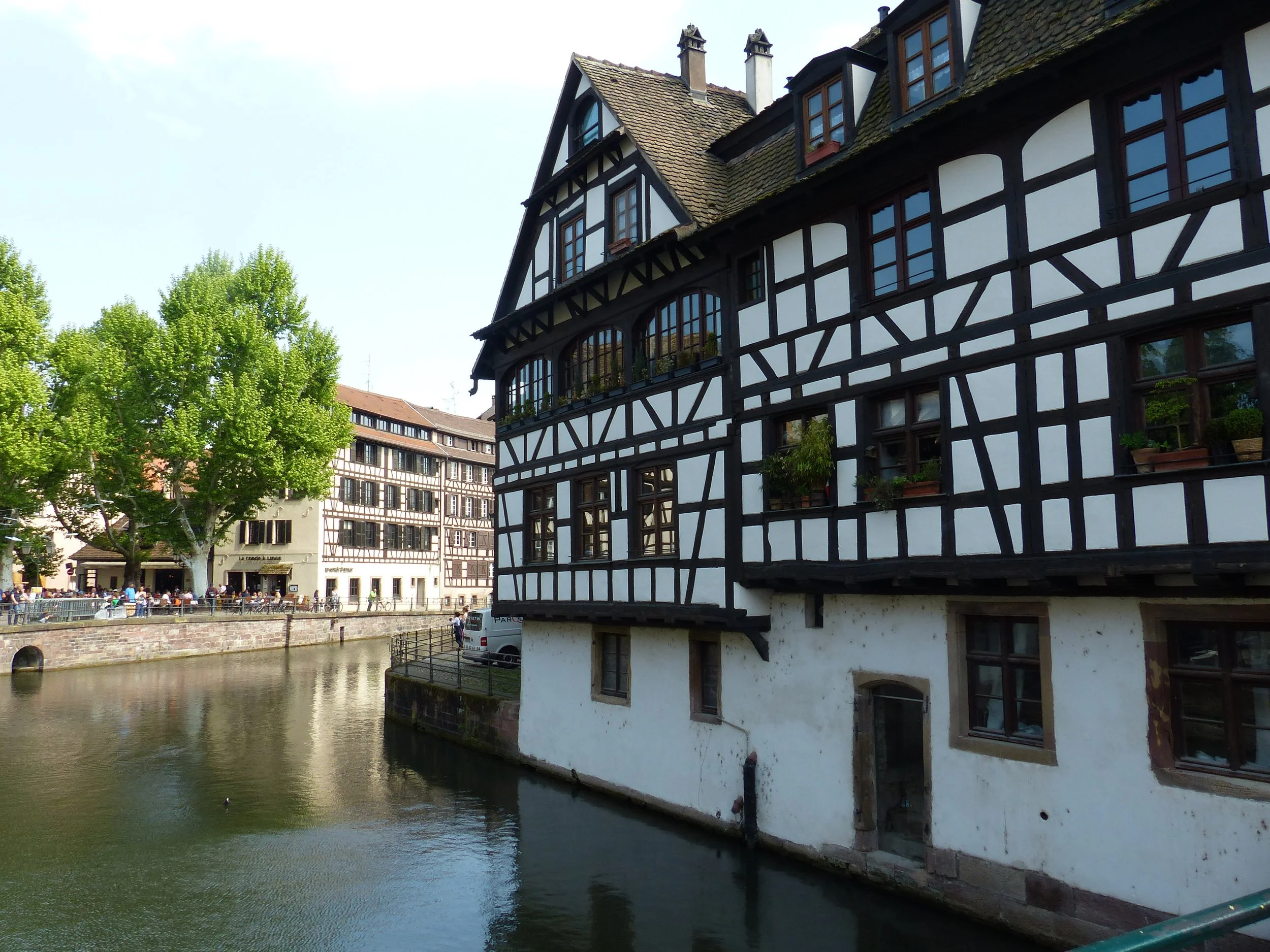 P1110239.jpg