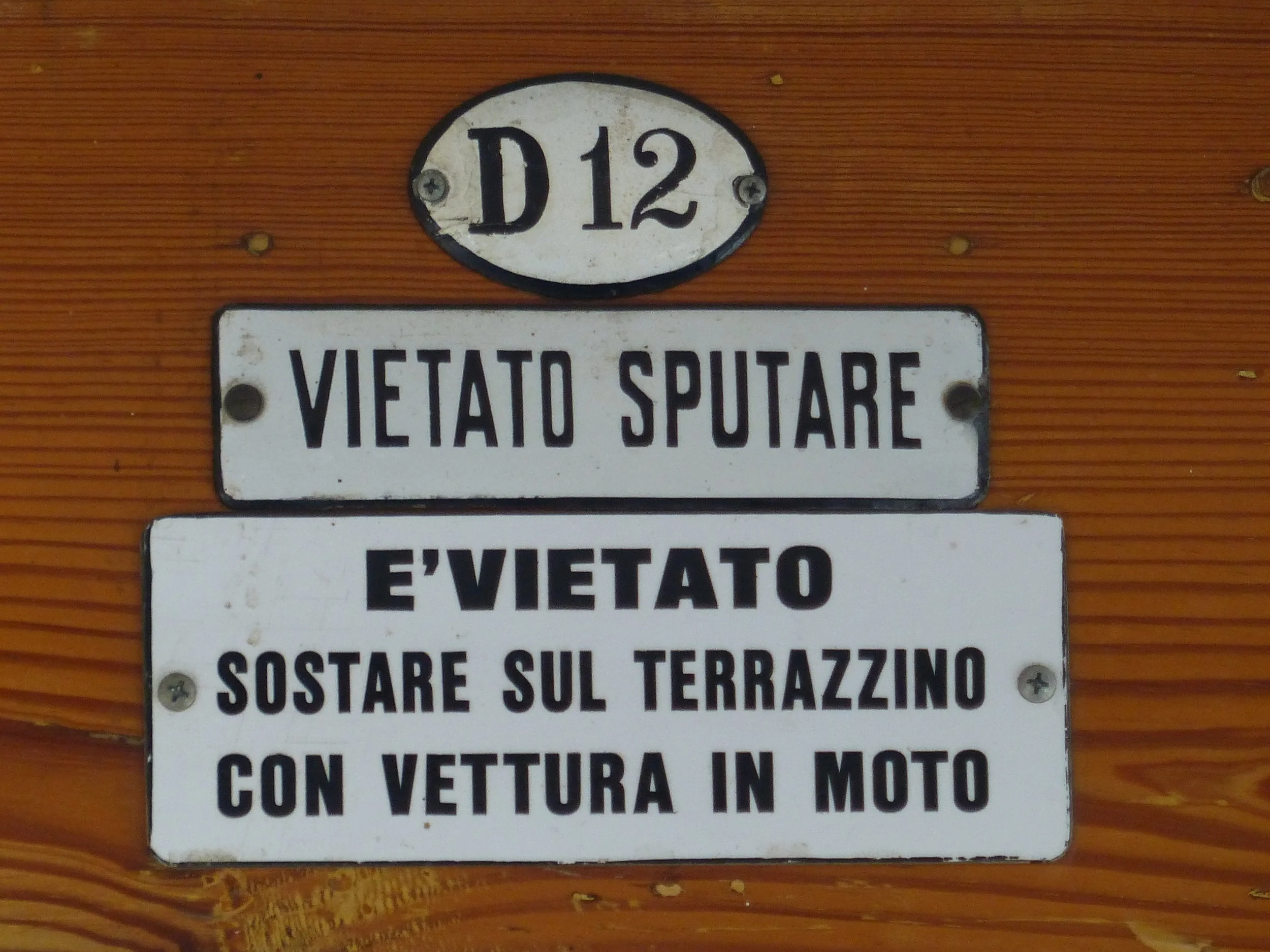 P1130005.jpg