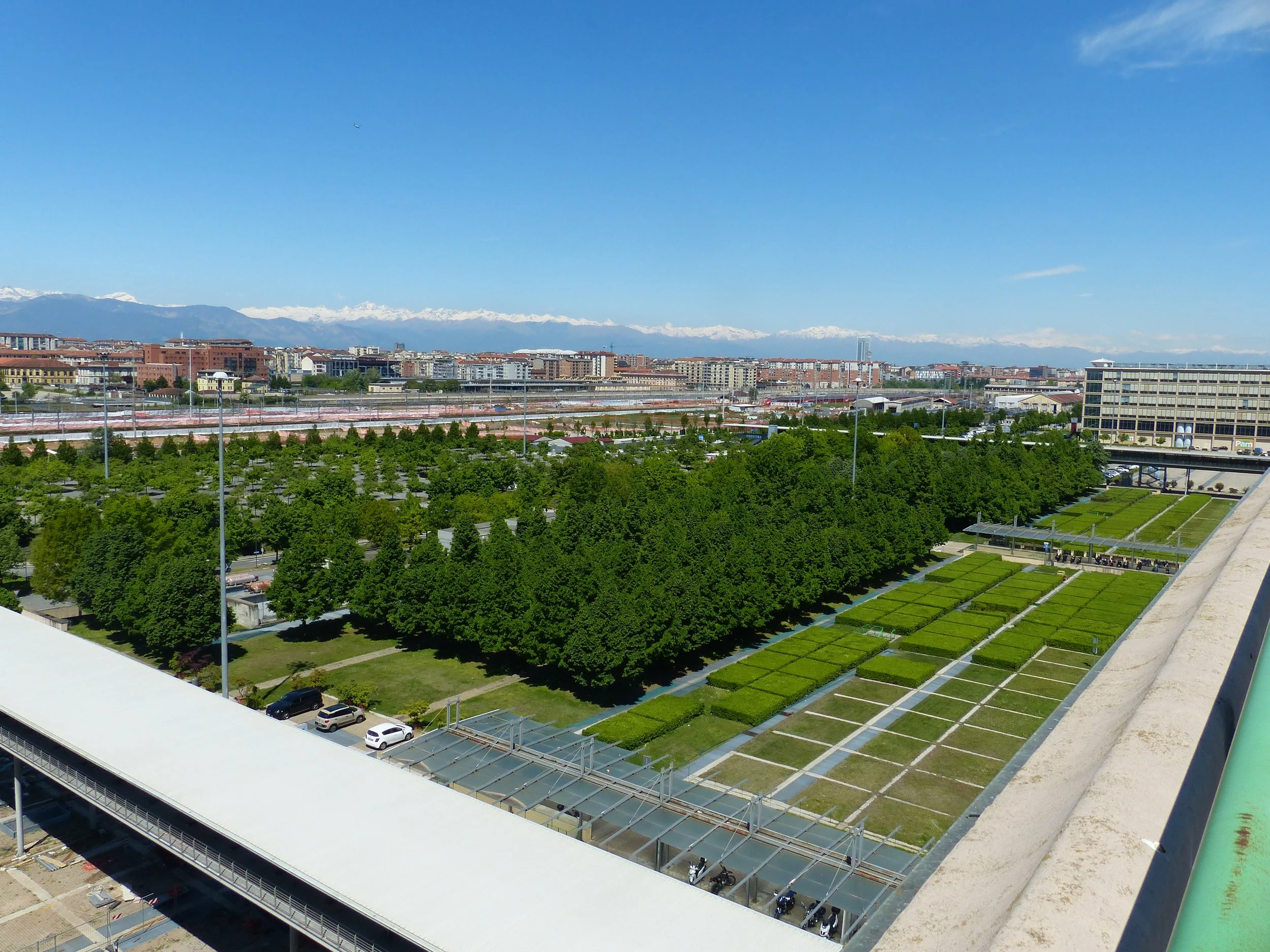 P1130145.jpg