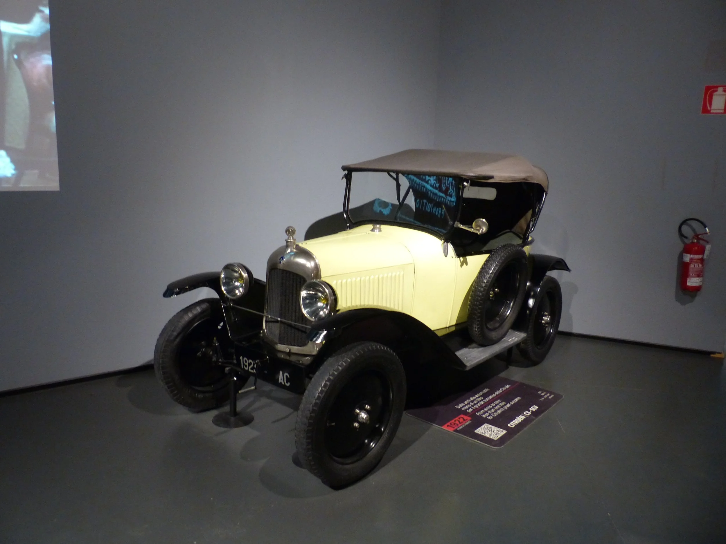 P1130157.jpg