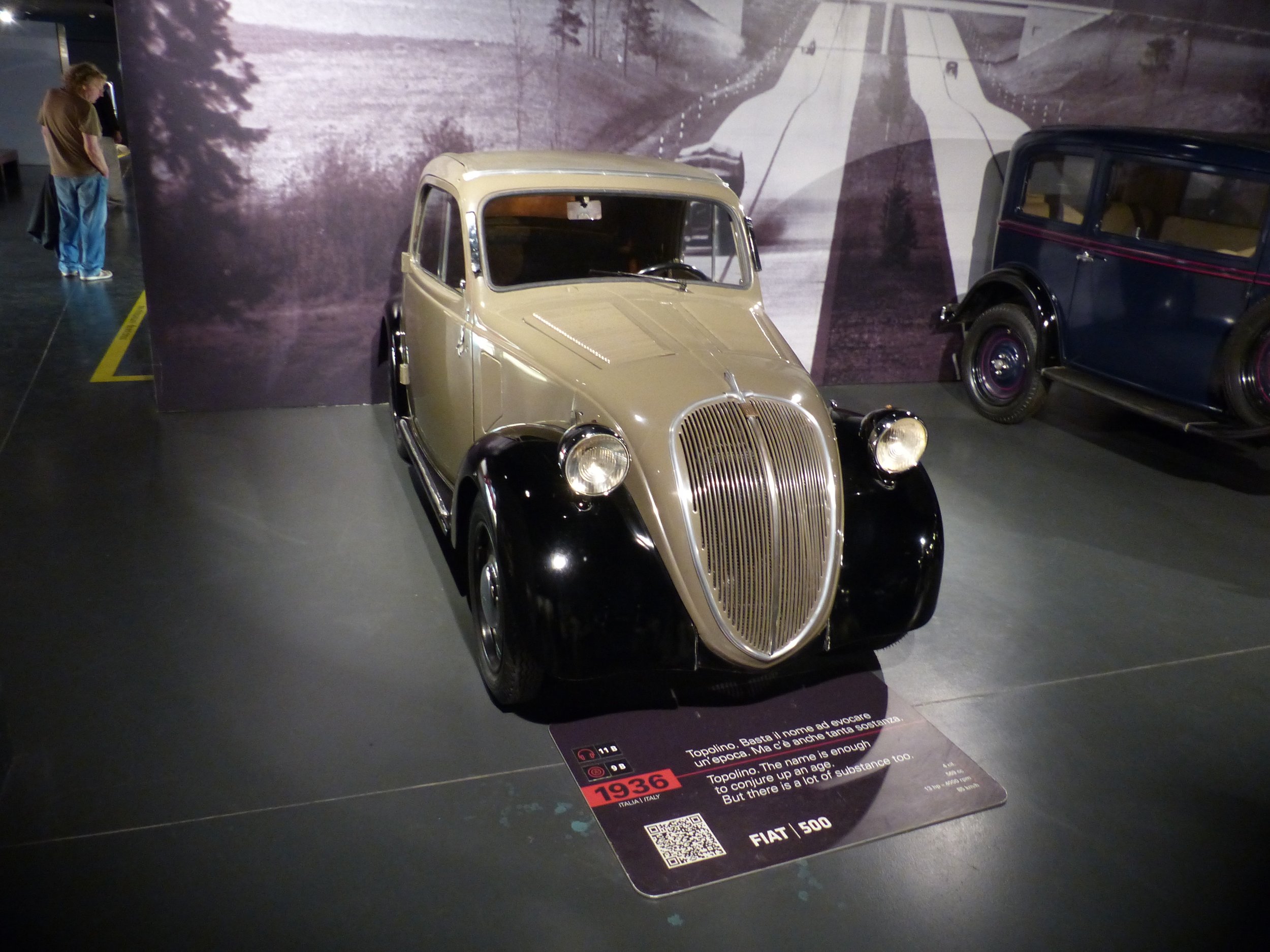P1130159.jpg