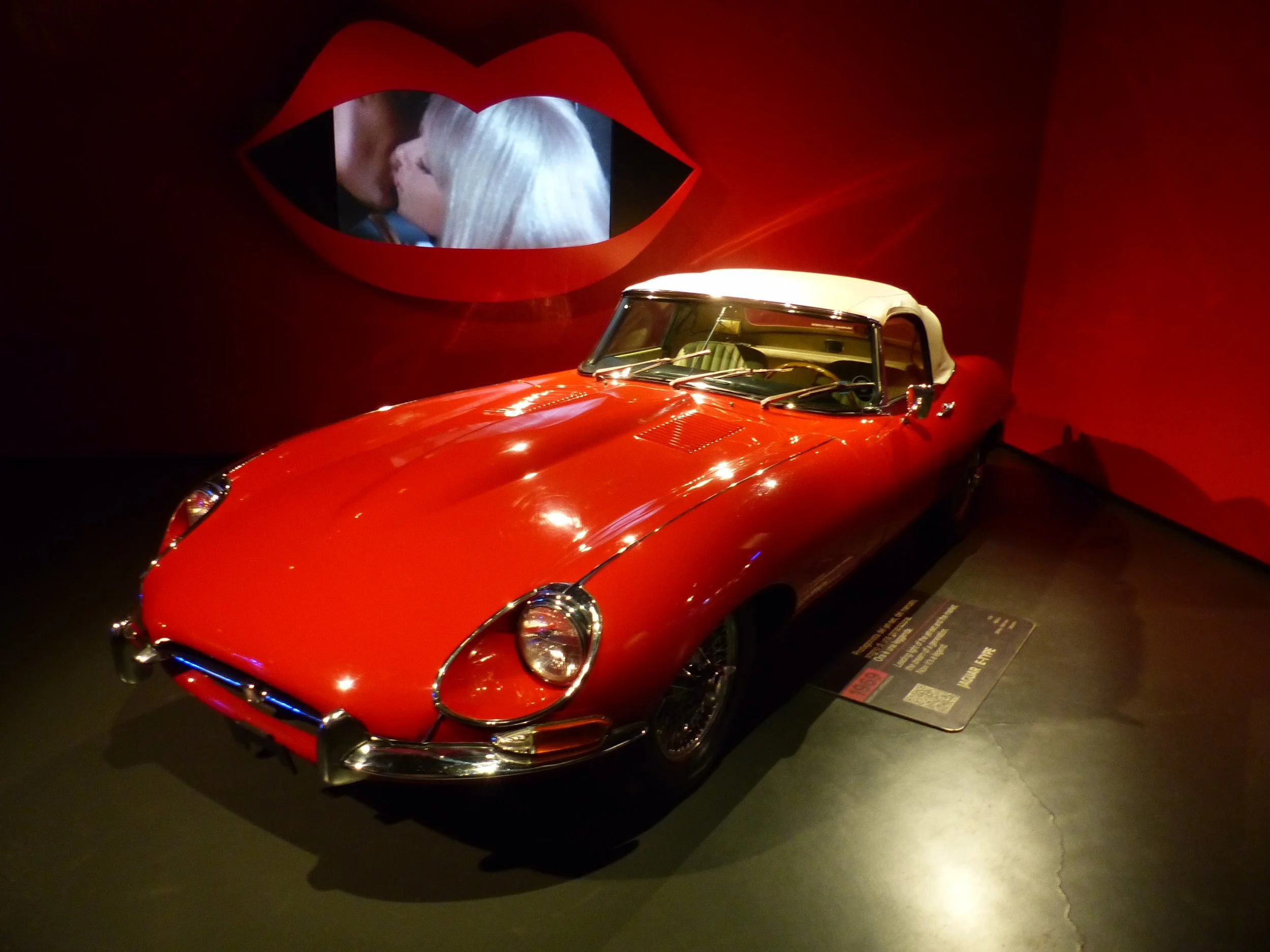 P1130164.jpg