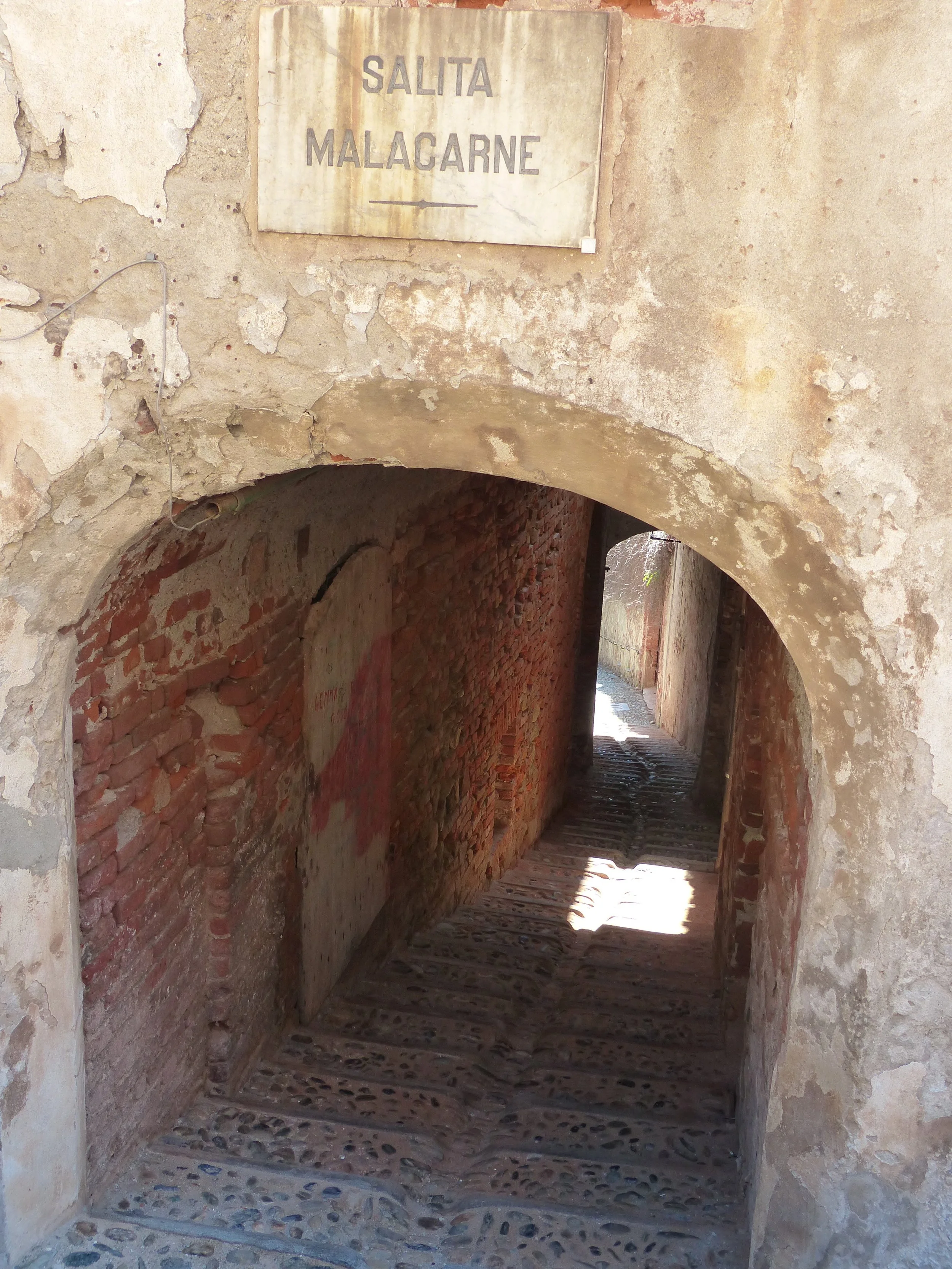 P1130201.jpg