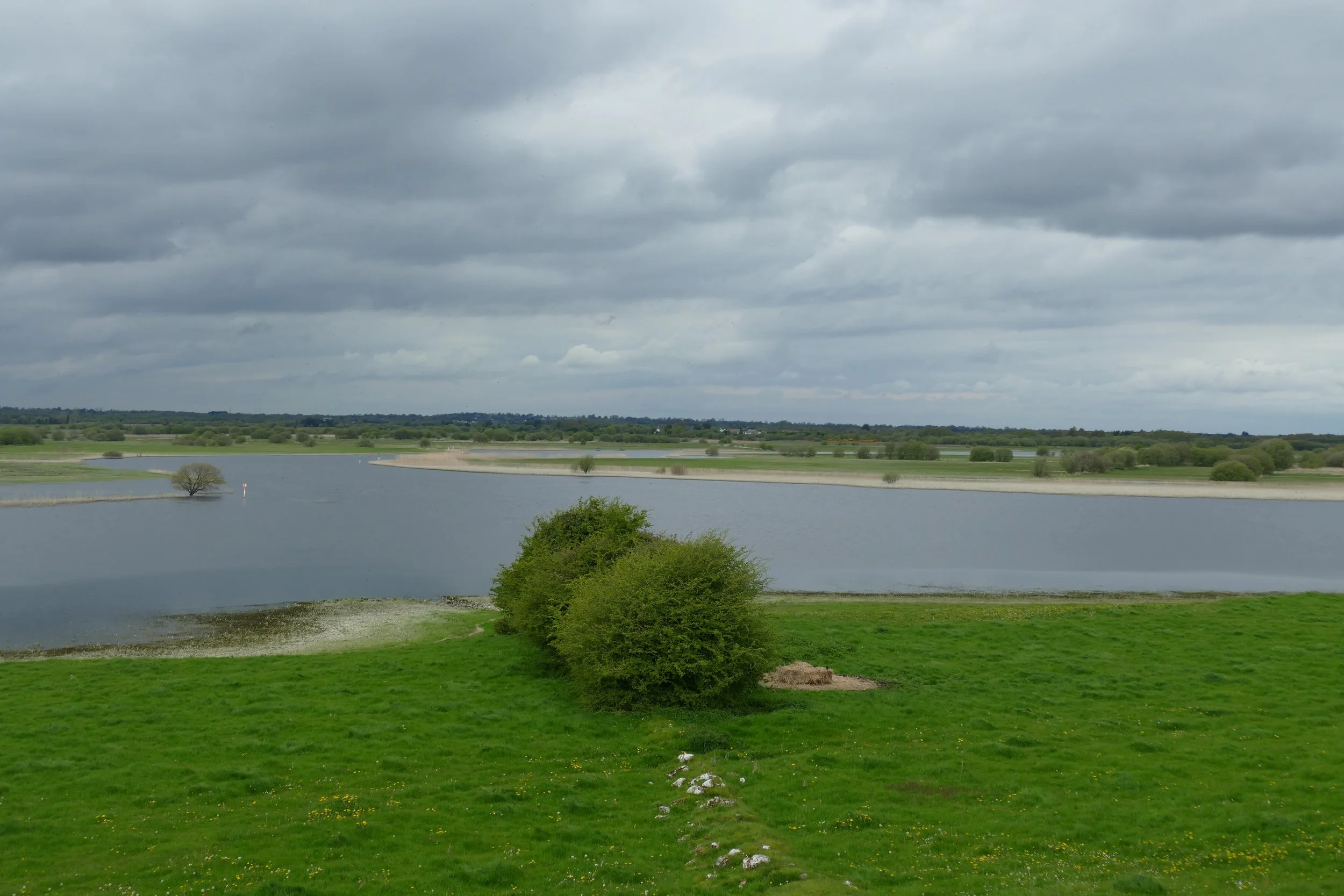 P1270275.JPG