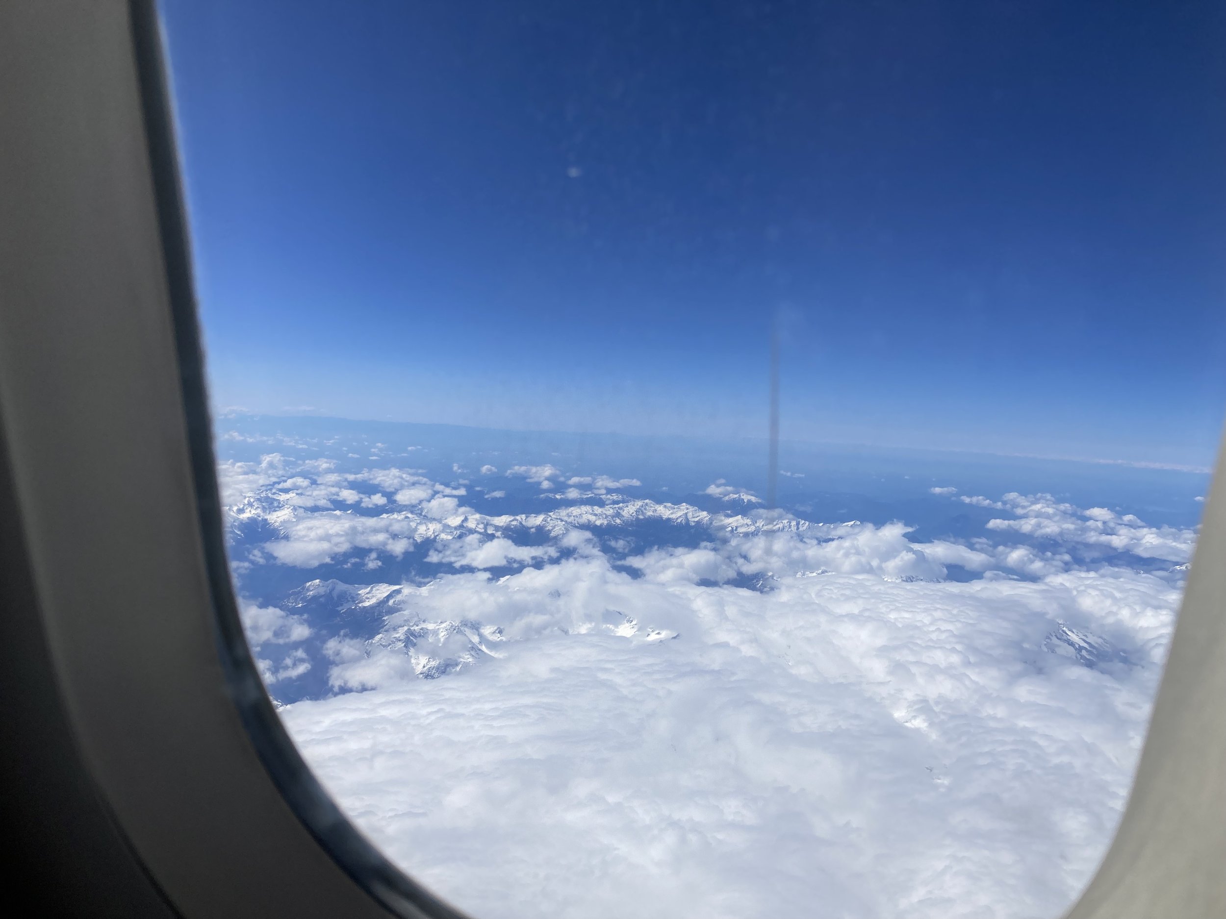 IMG_4317.jpeg