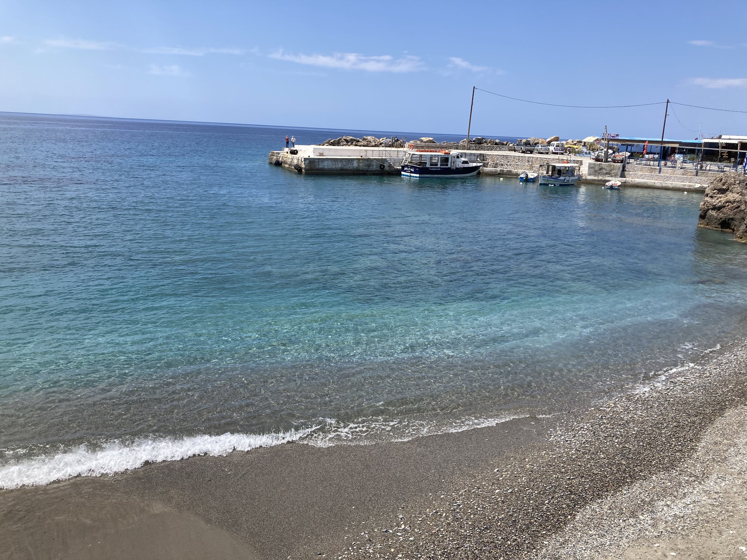 IMG_4386.jpeg