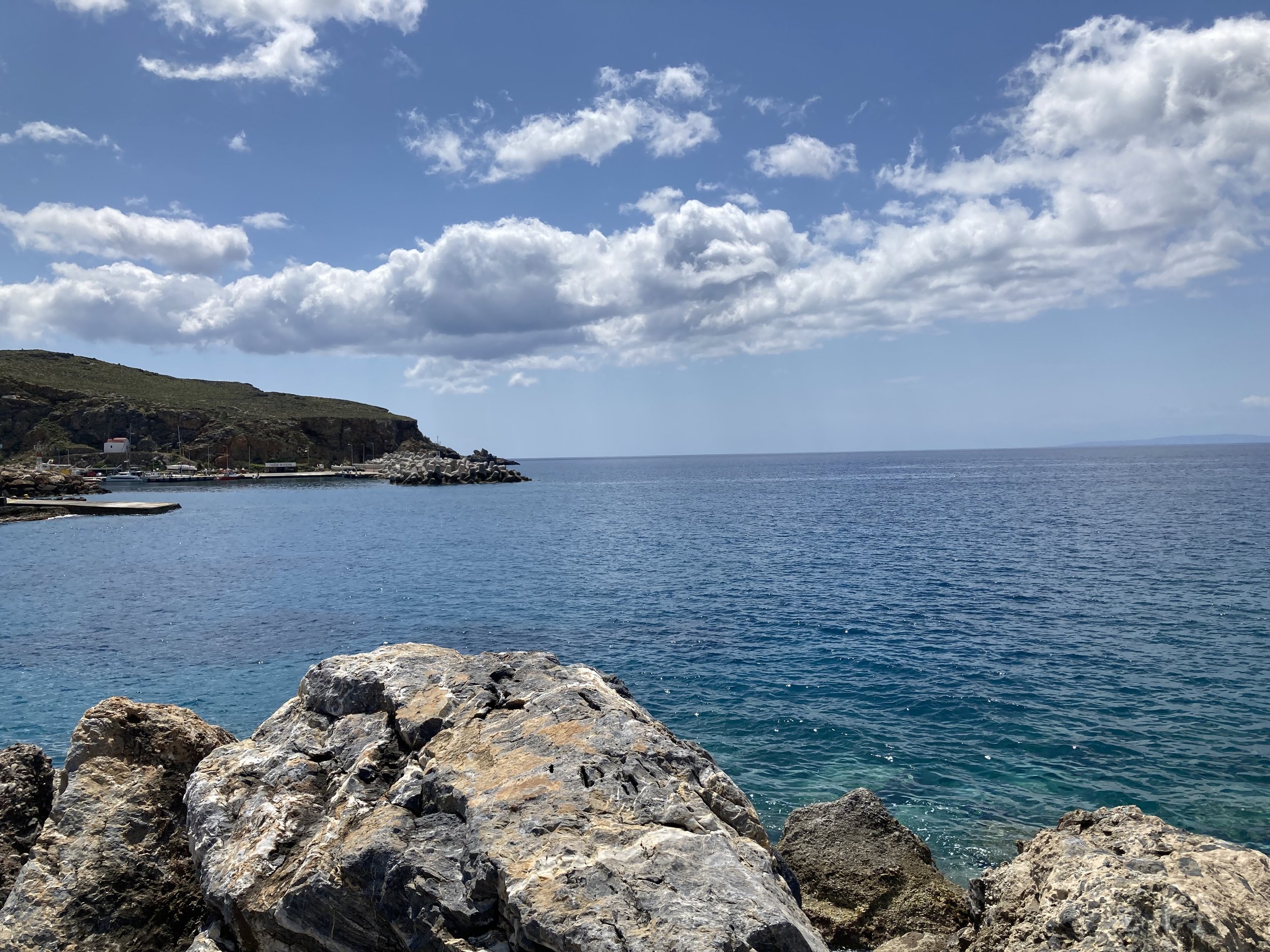 IMG_4388.jpeg