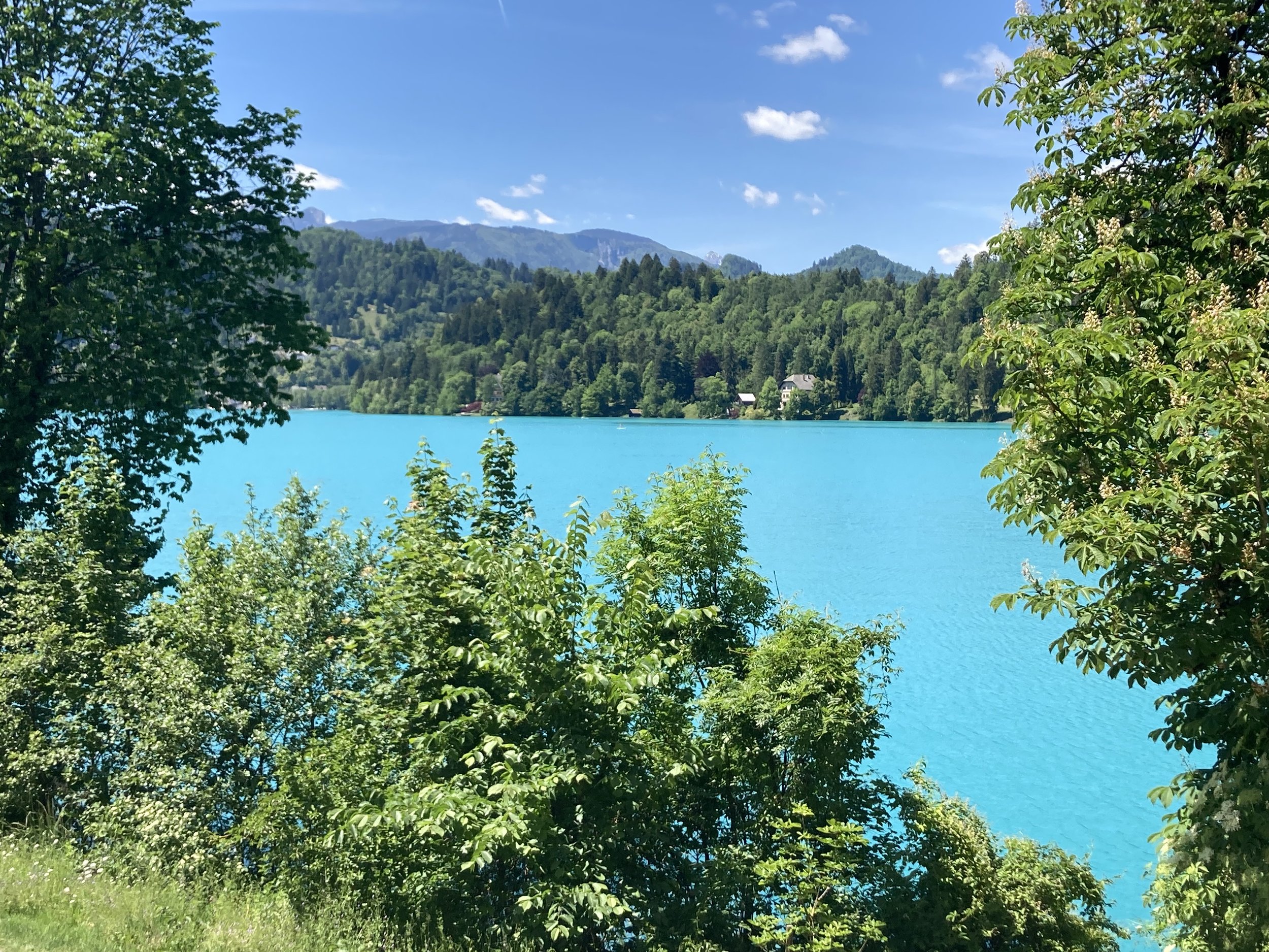 IMG_6787.jpeg