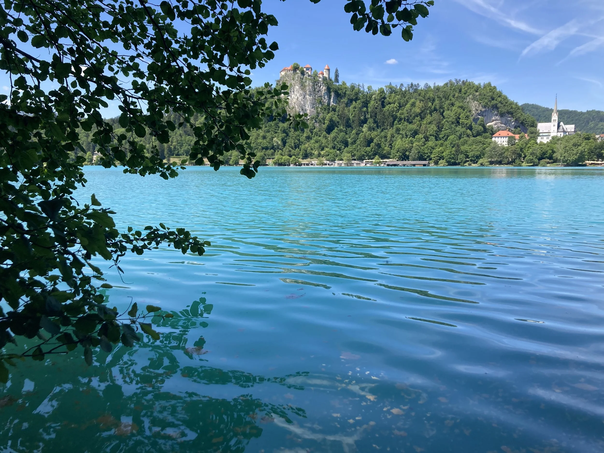 IMG_6789.jpeg