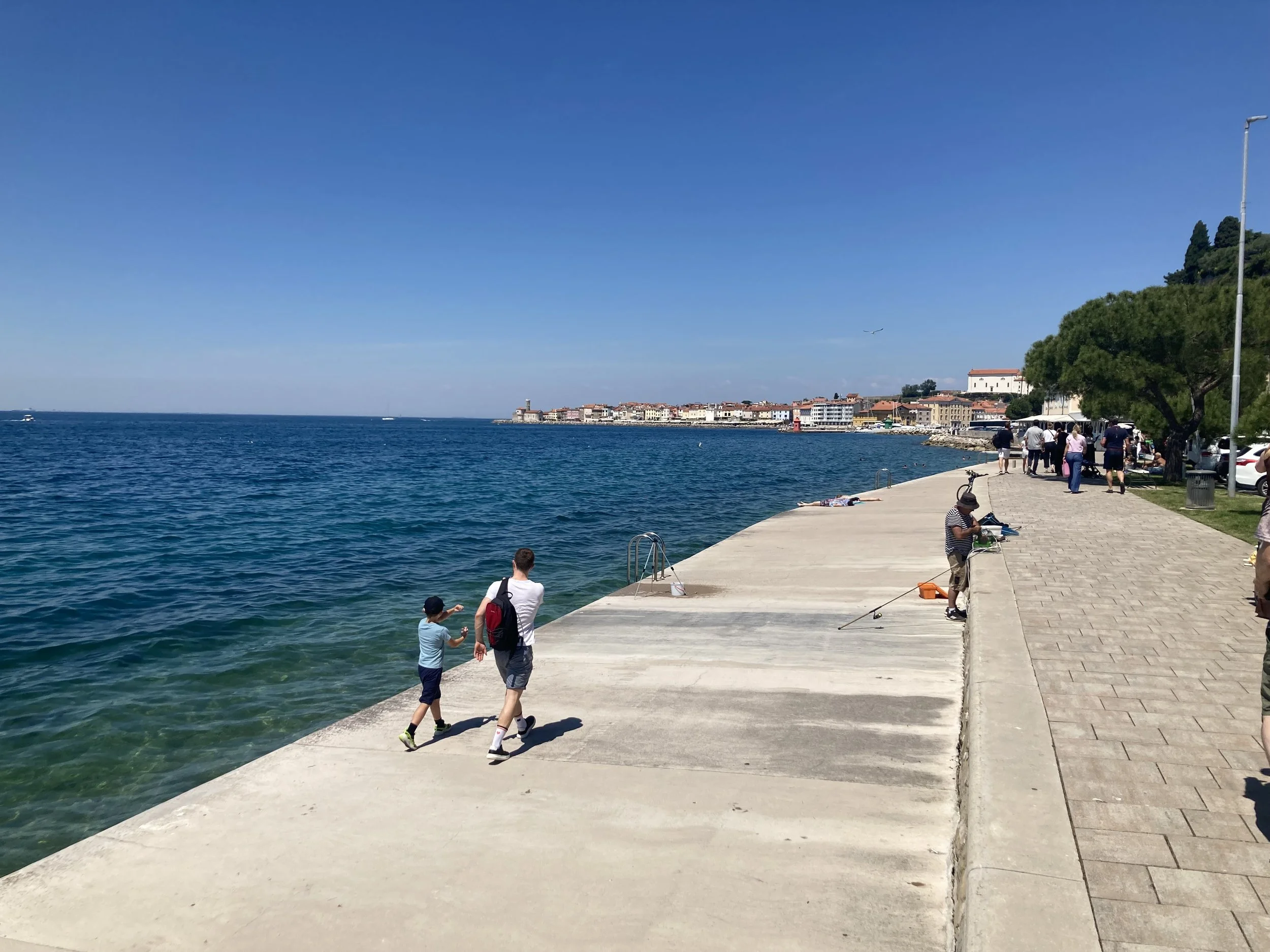 IMG_6850.jpeg