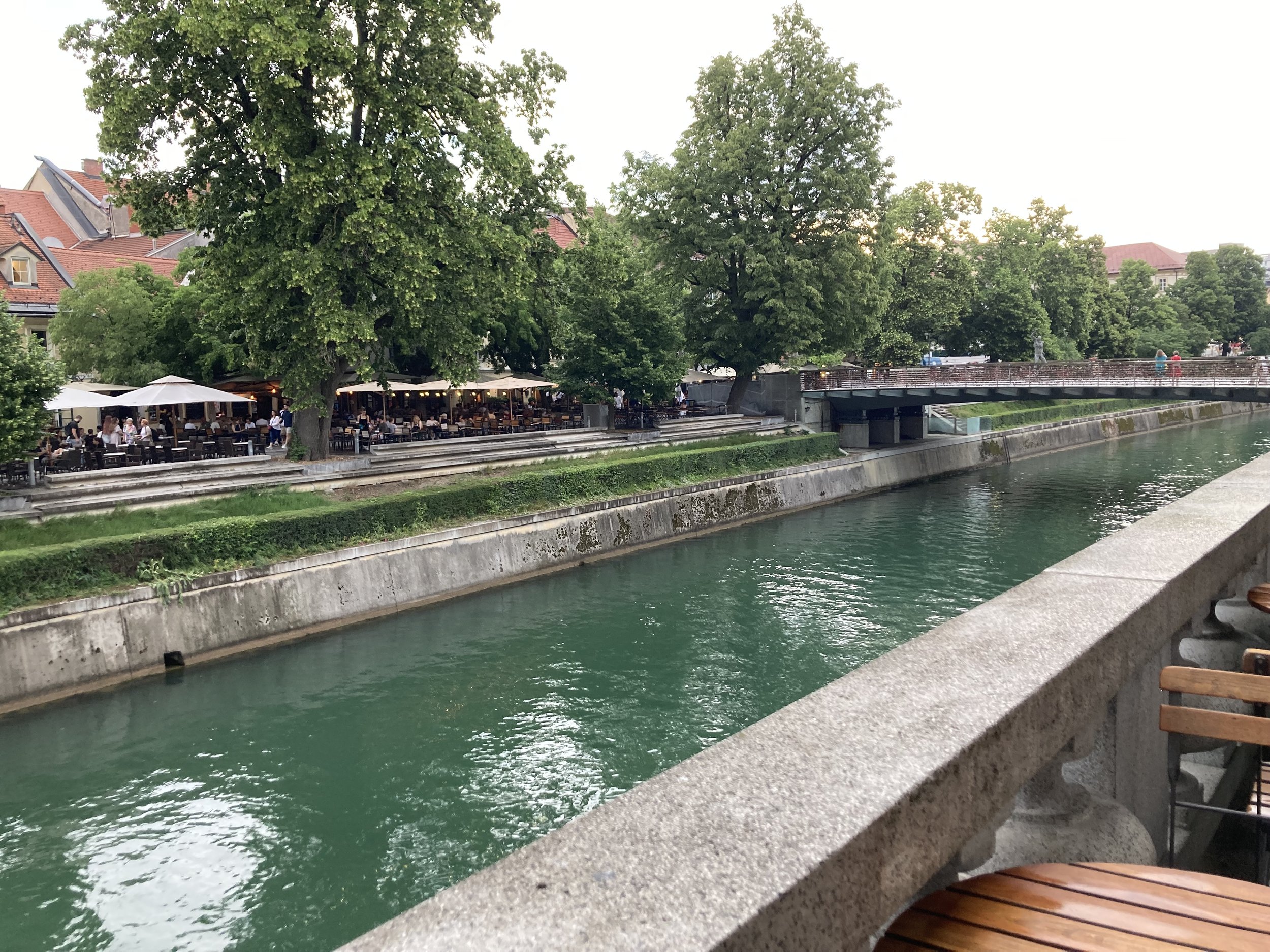 IMG_6947.jpeg