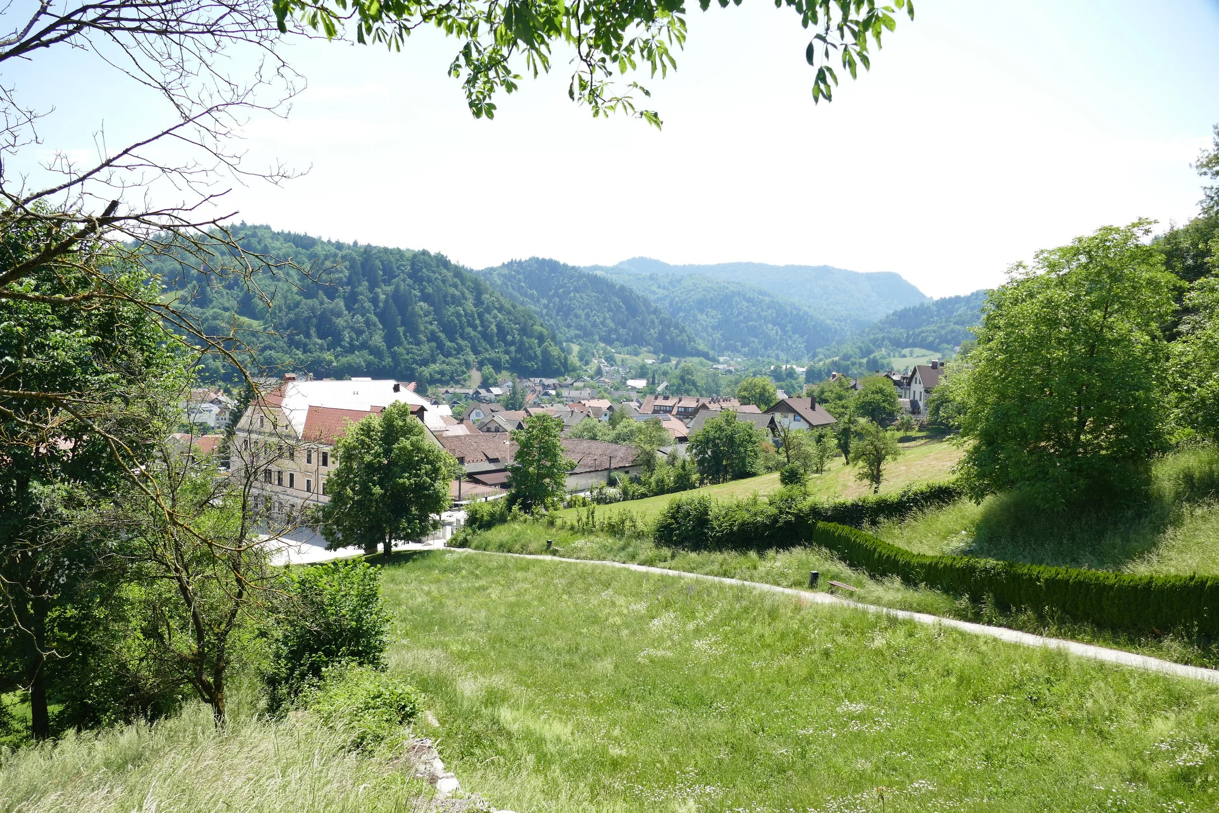 P1340227.JPG