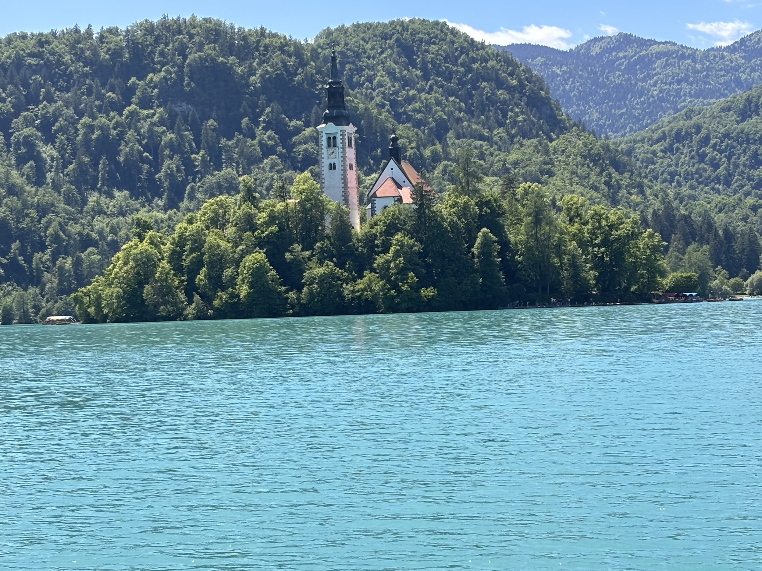 IMG_8262.jpeg