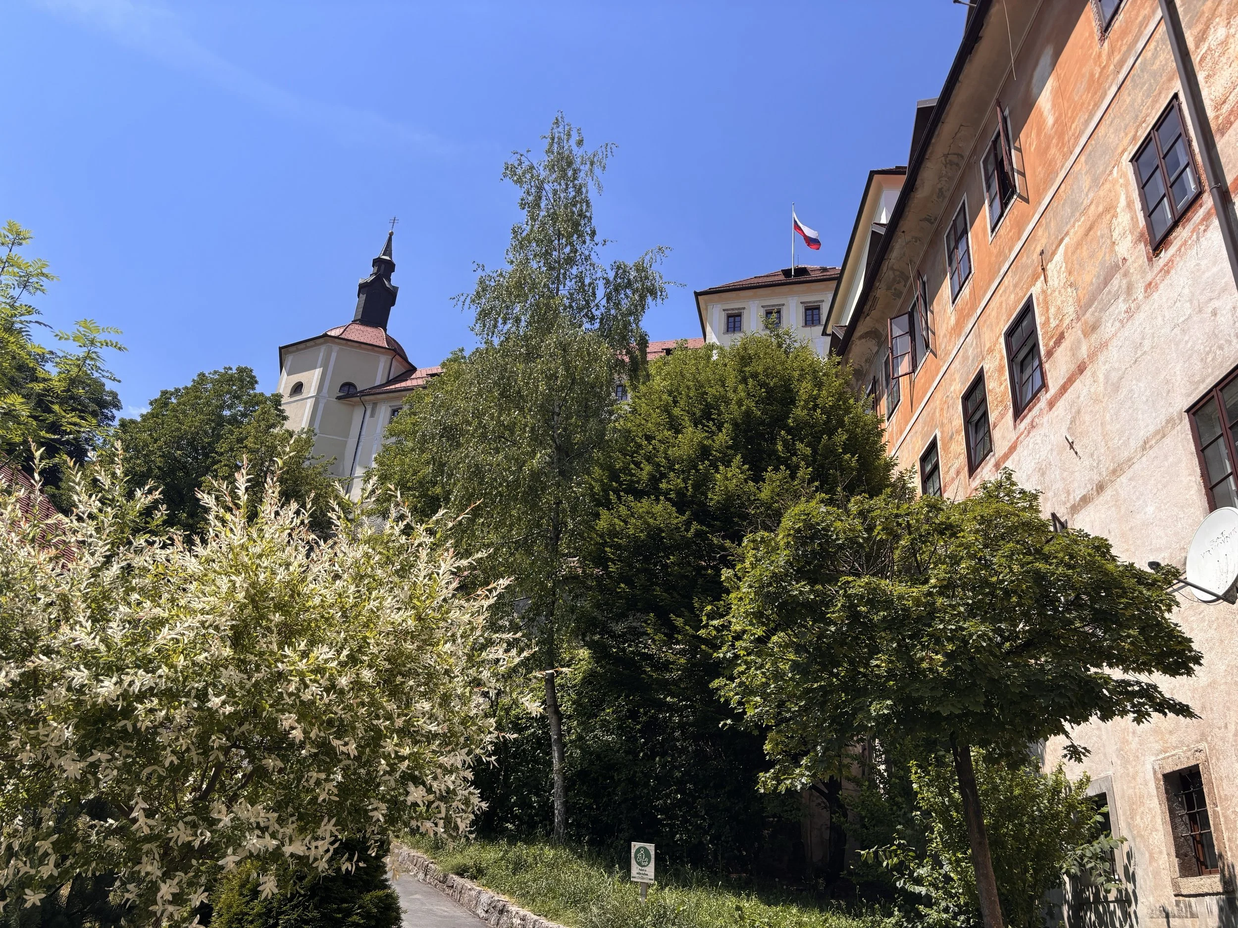 IMG_8557.jpeg