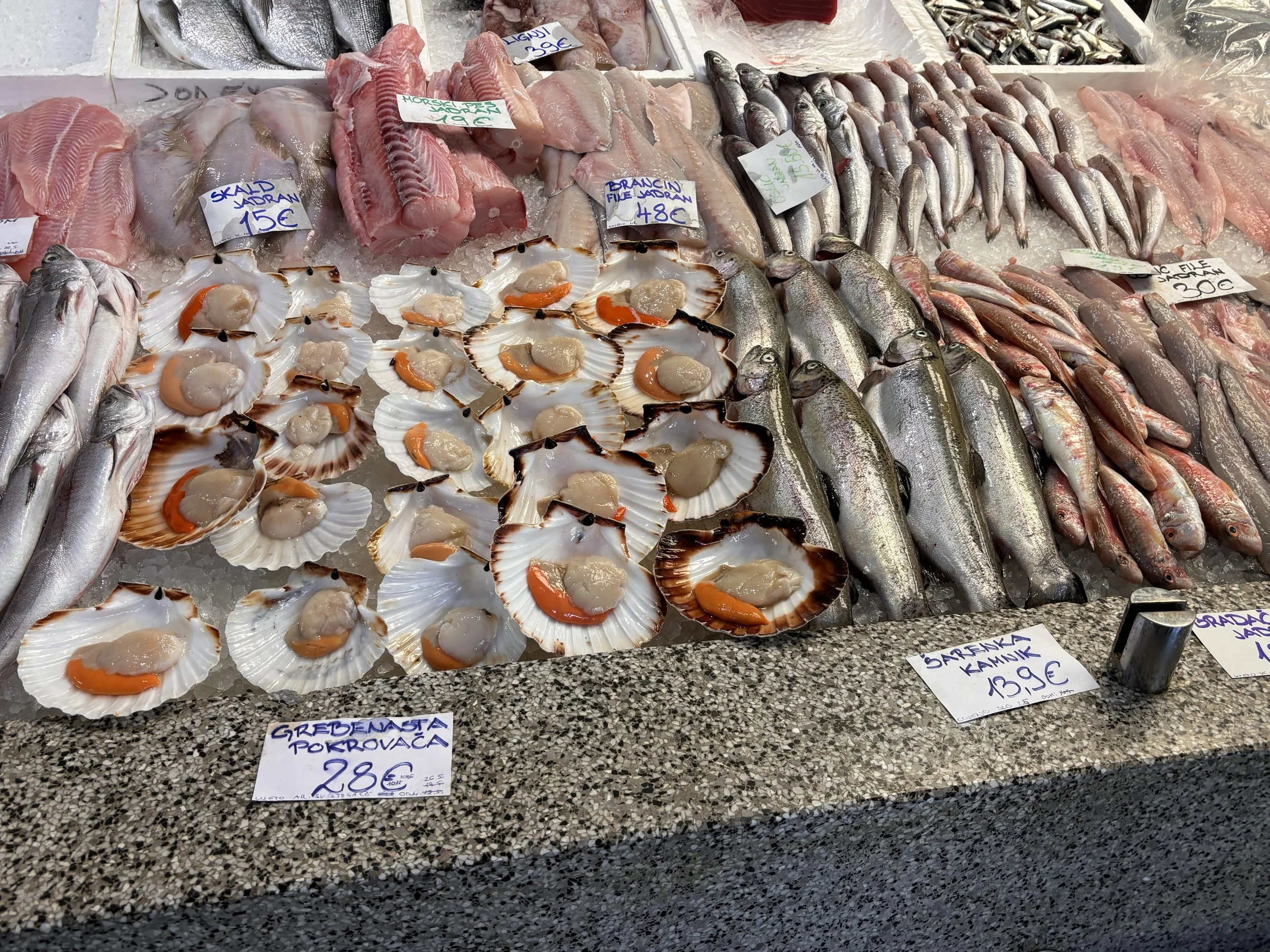 IMG_8600.jpeg