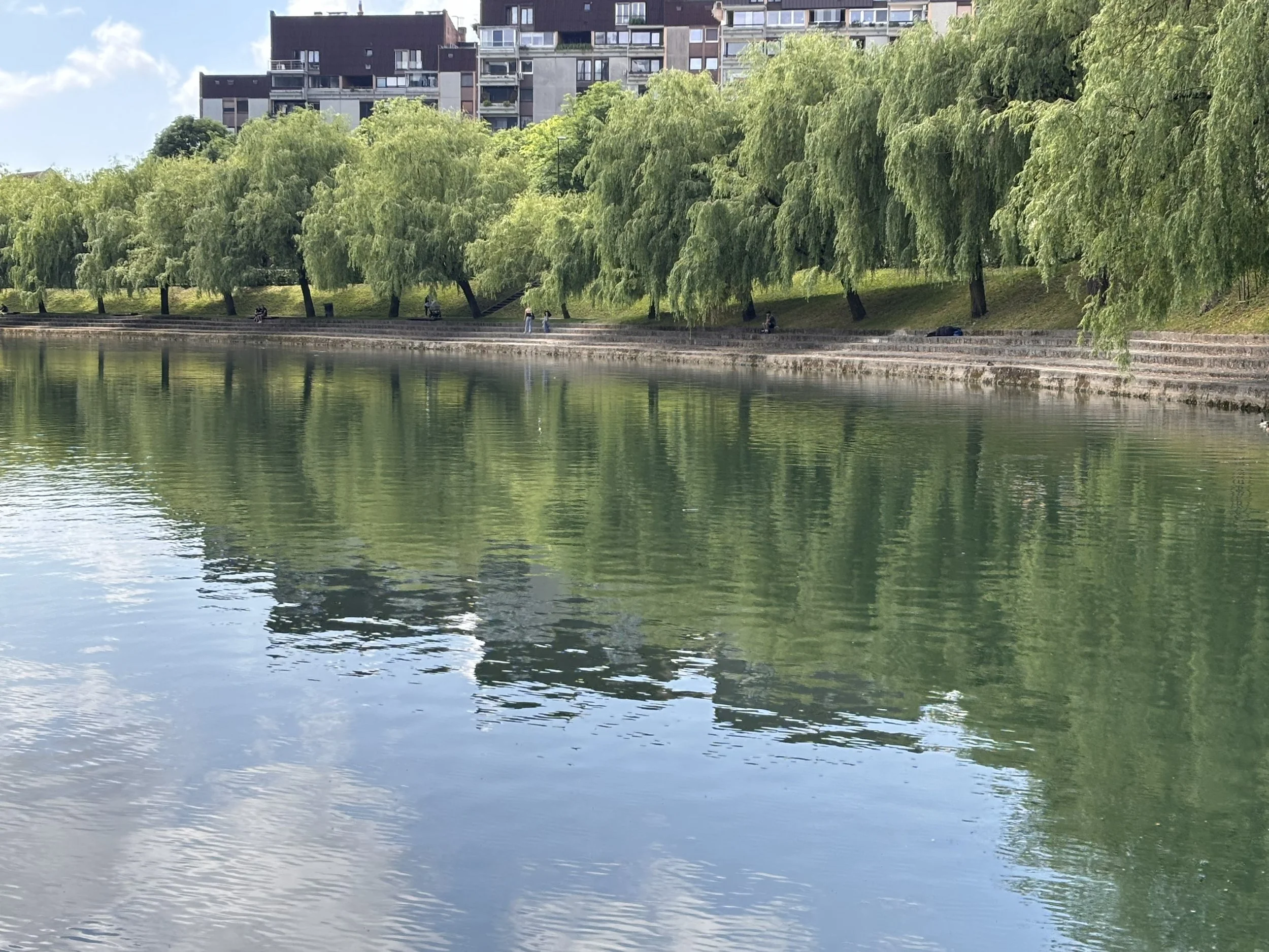 IMG_8612.jpeg