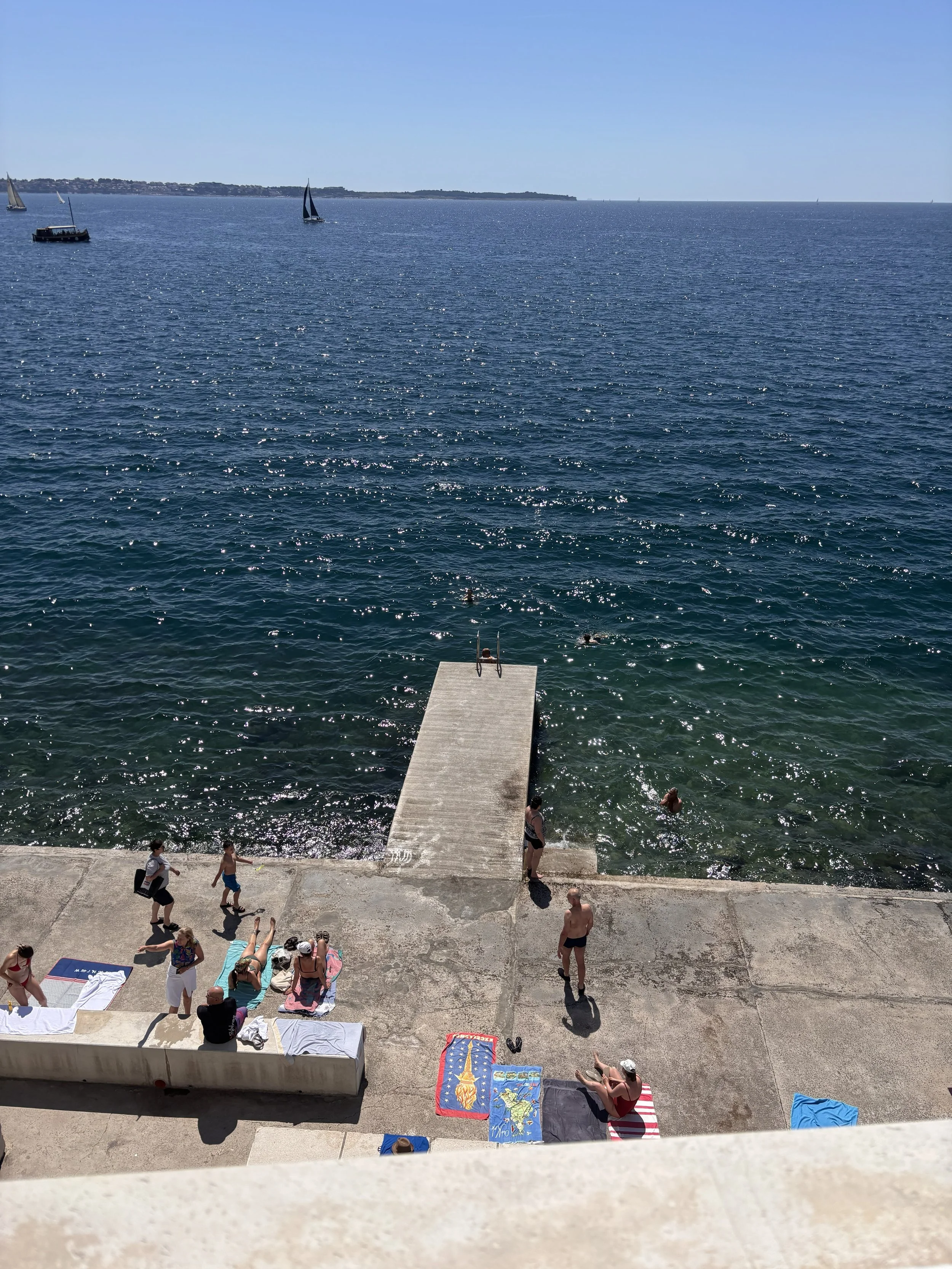 IMG_8367.jpeg