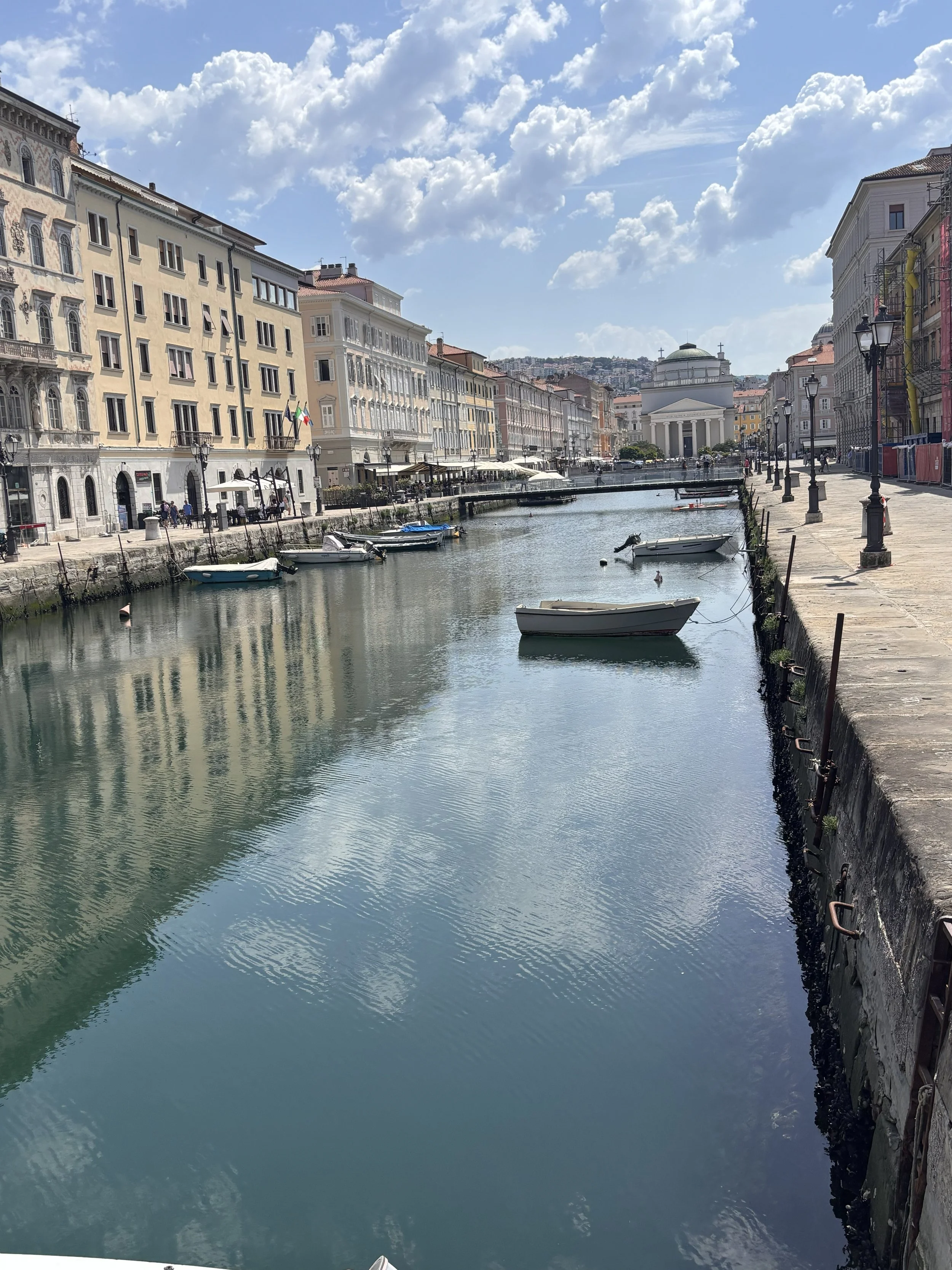 IMG_8432.jpeg