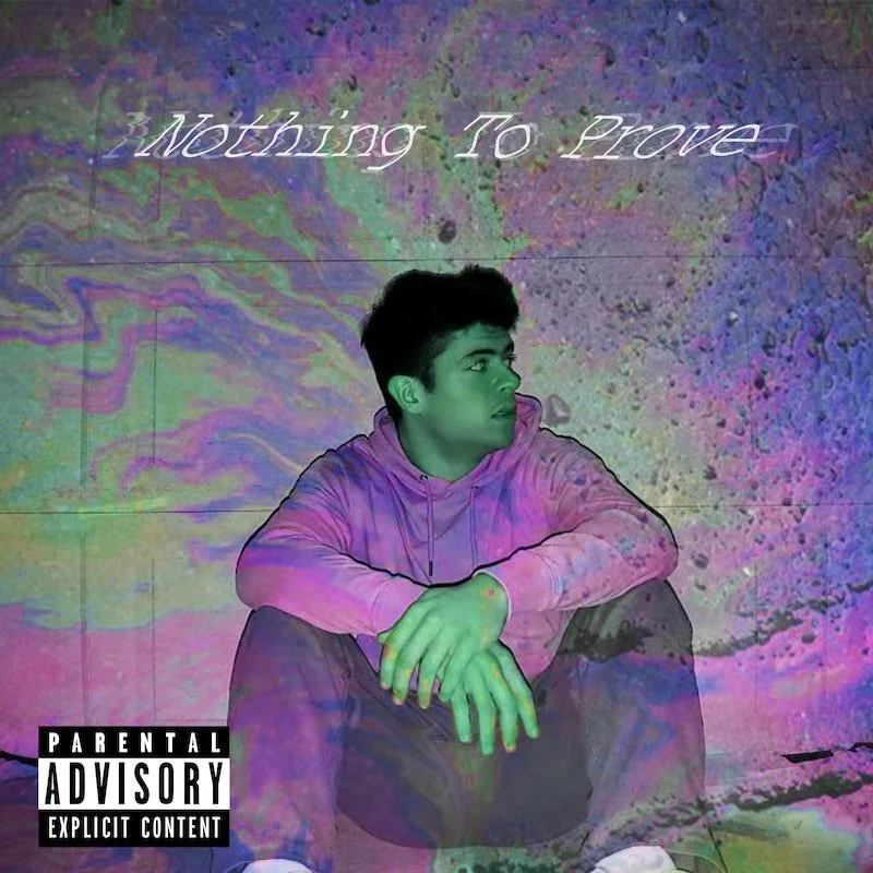 nothing to prove art.jpg