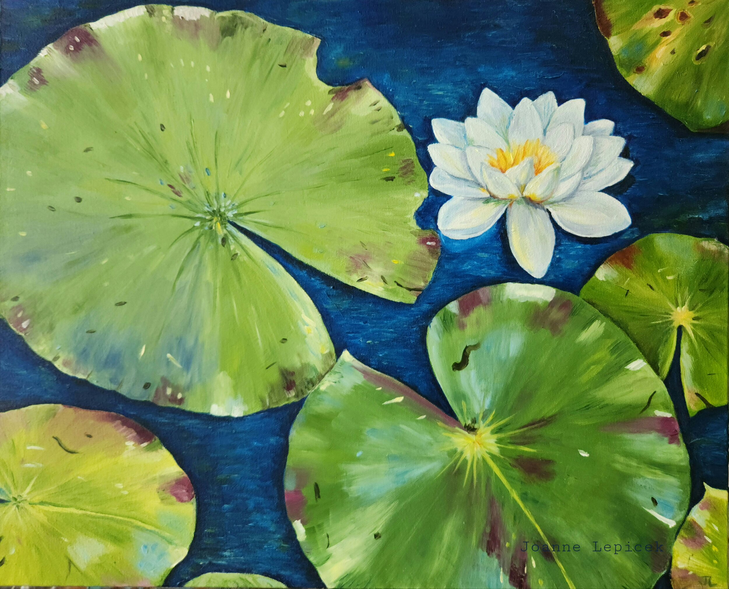 Original 16x20 oil on canvas of lily pads - Where the Lily Pads Gather  by Joanne Lepicek — Joanne Lepicek Art