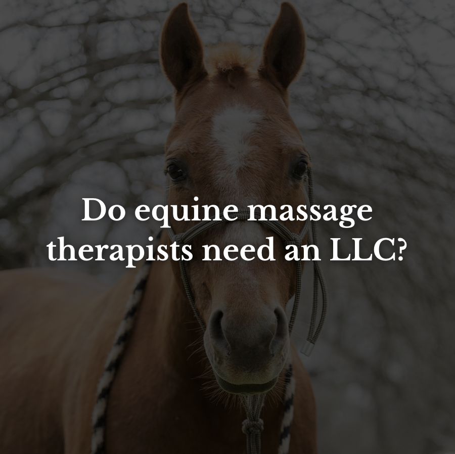 Do equine massage therapists need an LLC in 2025? 