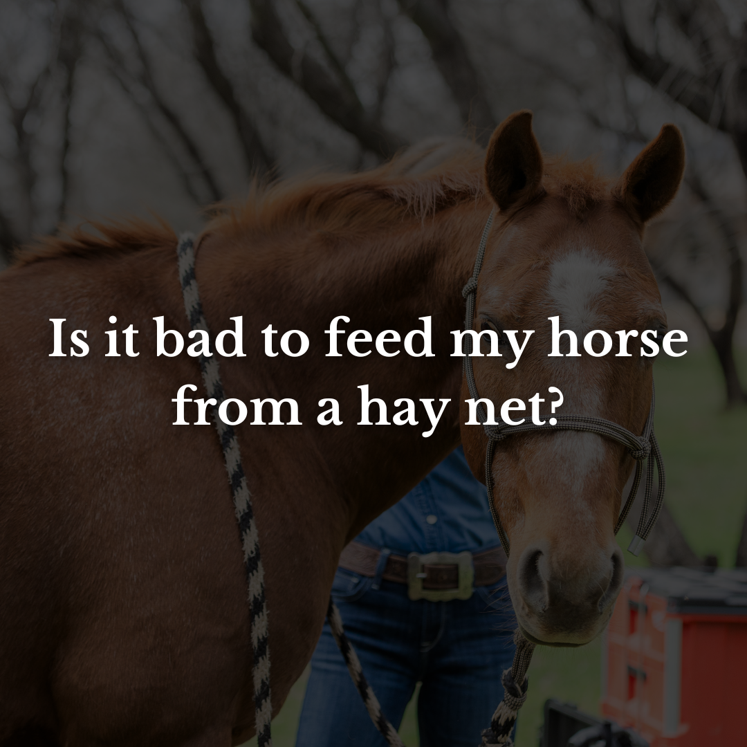 Is it bad to feed my horse from a hay net?