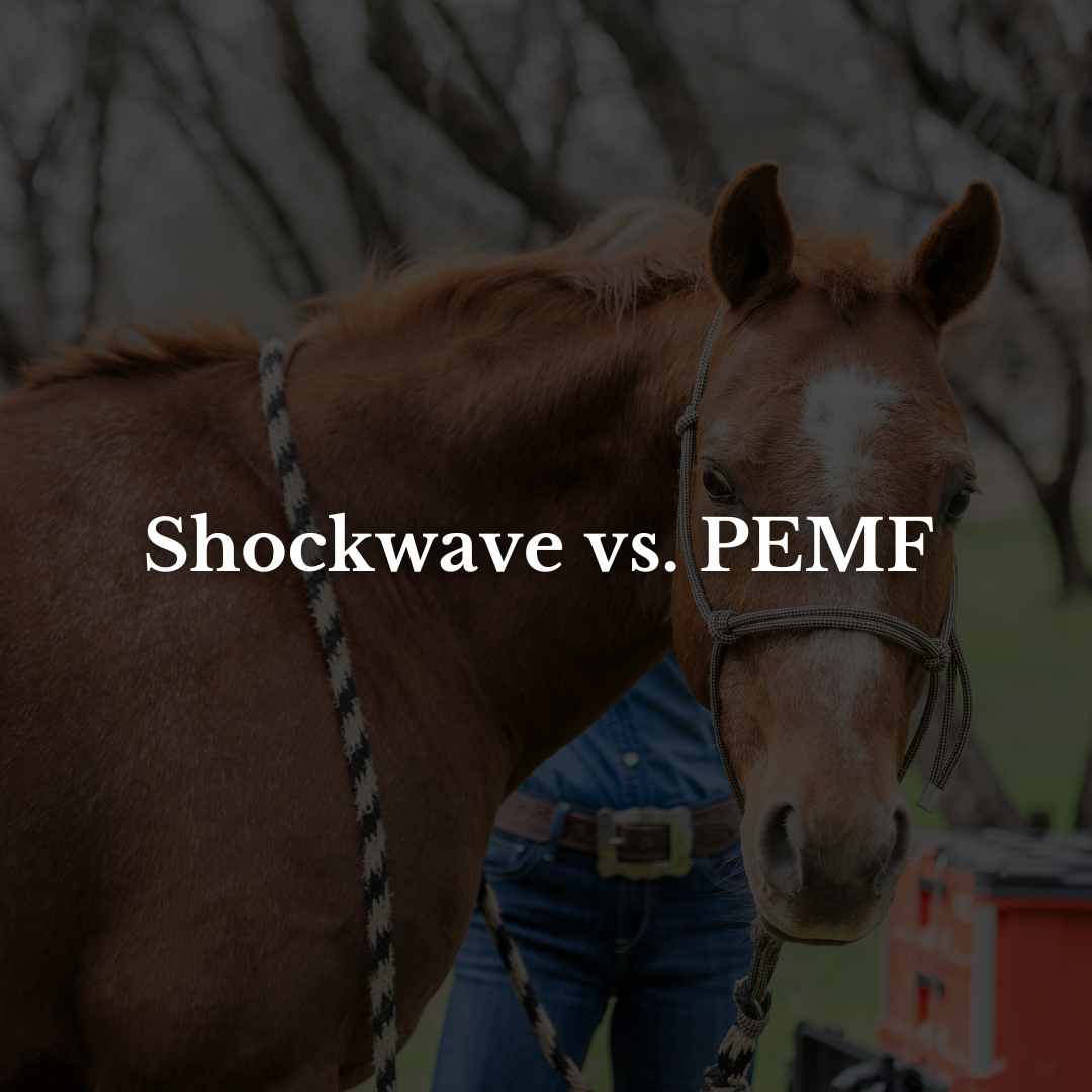 Shockwave vs. PEMF