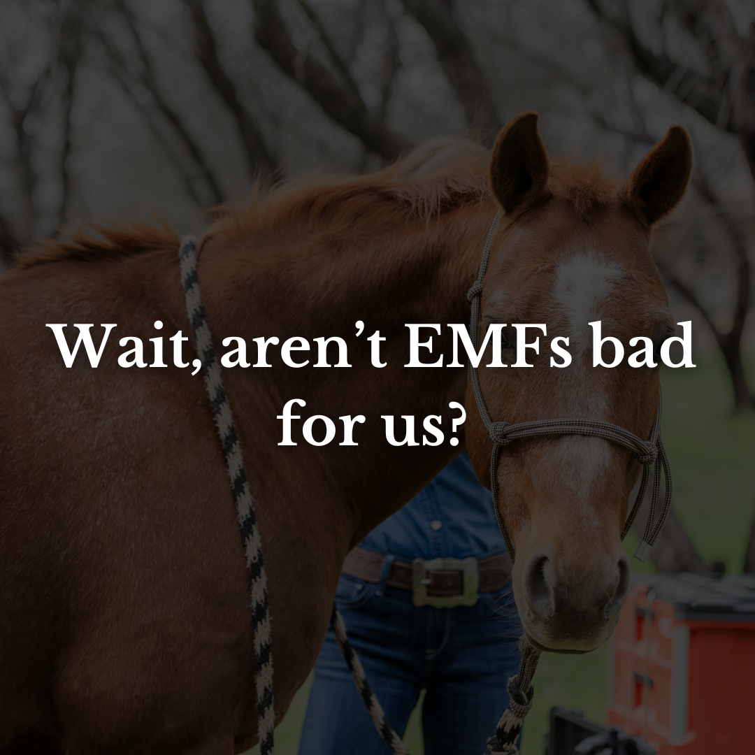 Wait, aren’t EMFs bad for us?