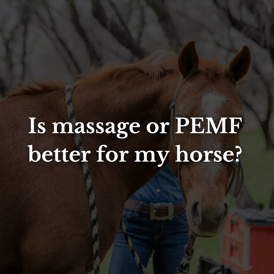 Is massage or PEMF better for my horse?