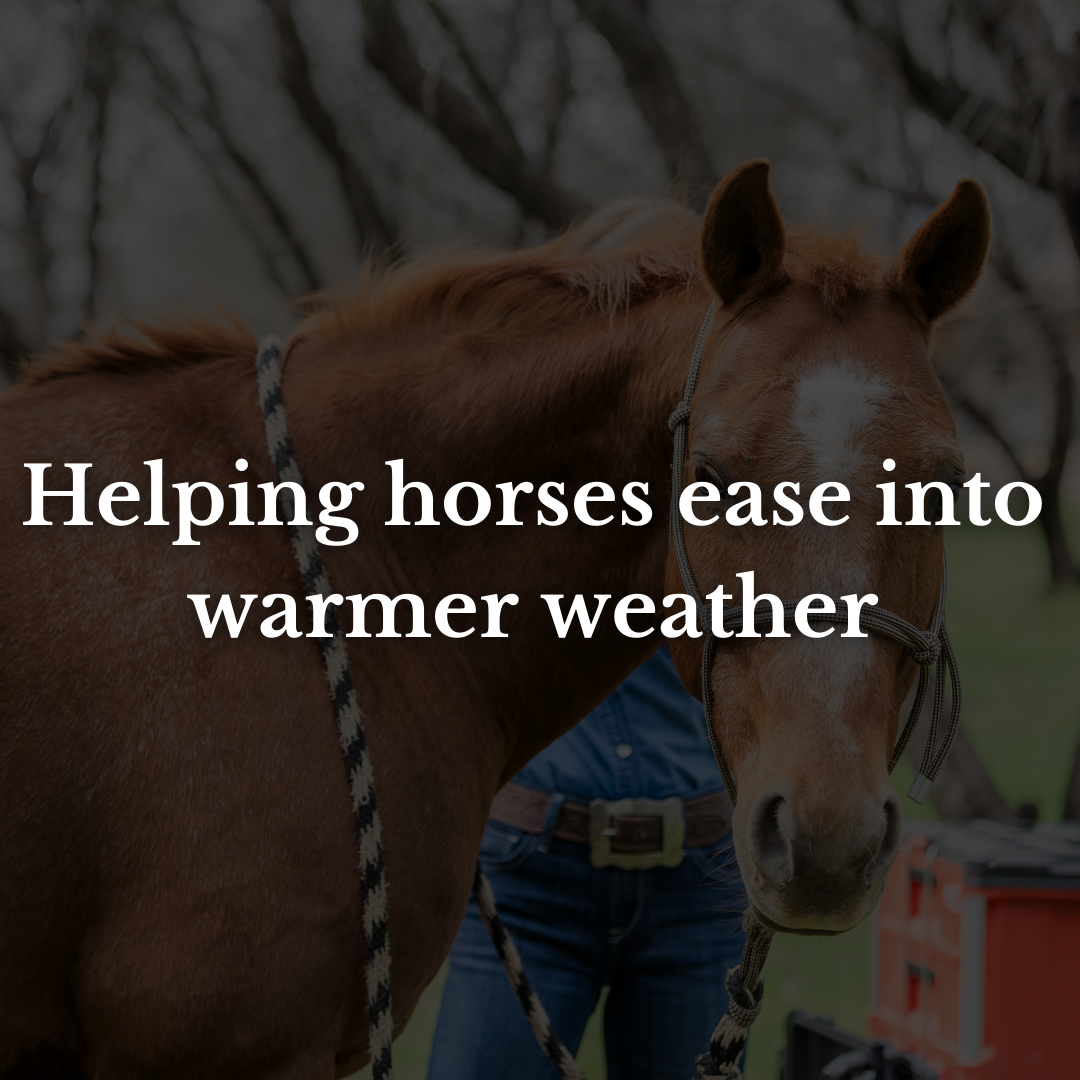 Helping horses ease into warmer weather