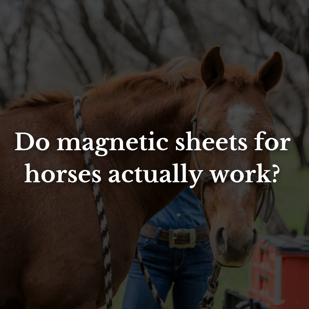 Do magnetic sheets for horses actually work?