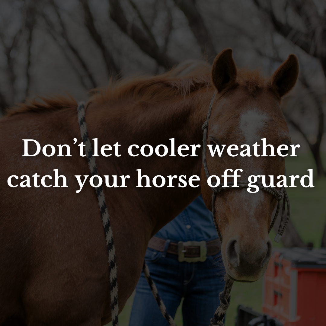 Don’t let cooler weather catch your horse off guard