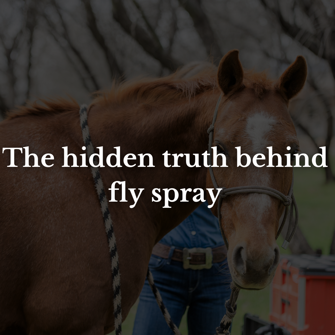 The hidden truth behind fly spray