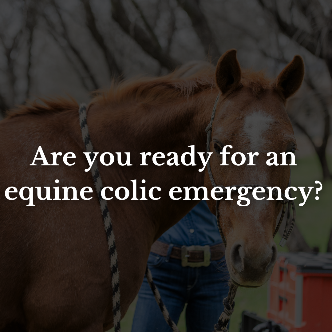 Are you ready for an equine colic emergency?