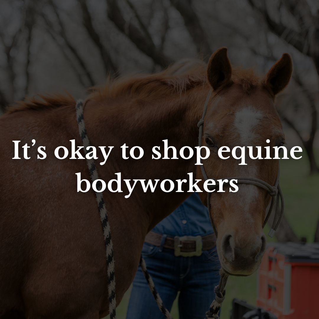 It’s okay to shop equine bodyworkers 