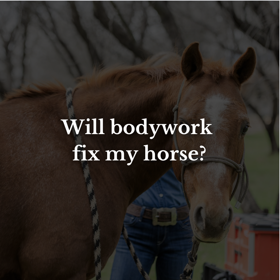 Will bodywork fix my horse?
