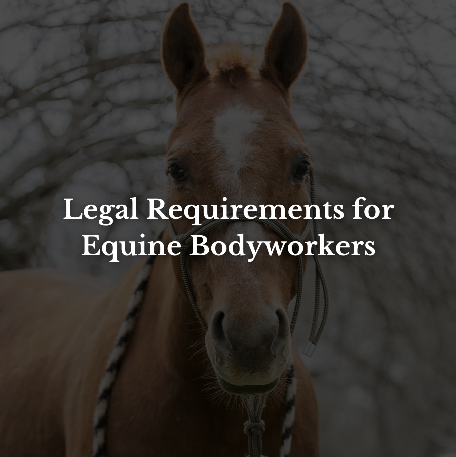 Legal requirements for equine bodyworkers