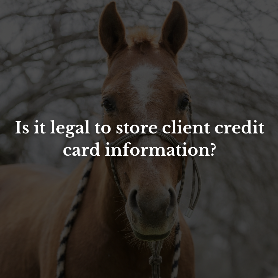 Is it legal to store client credit card information?